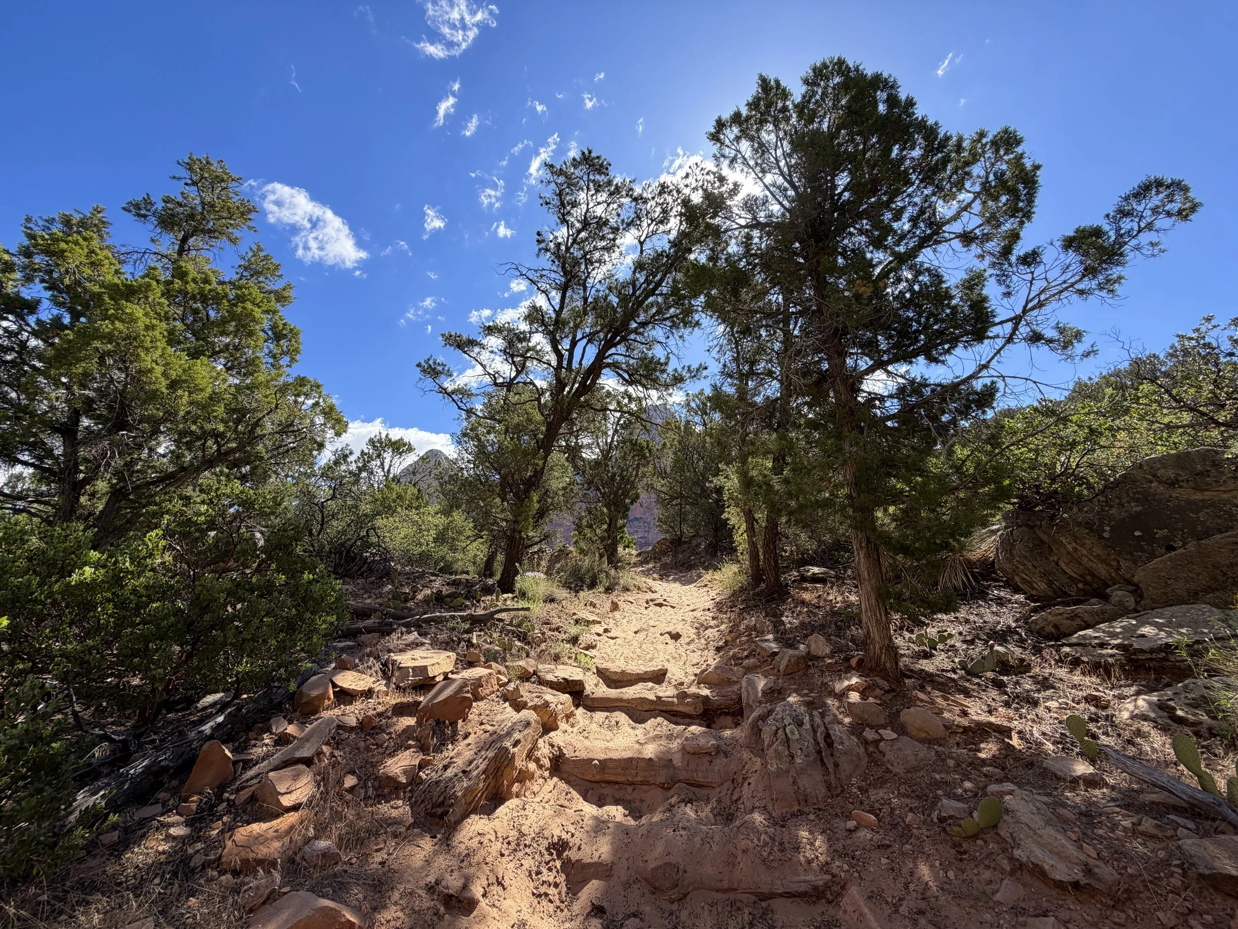Sand Bench Trail Zion National Park Utah