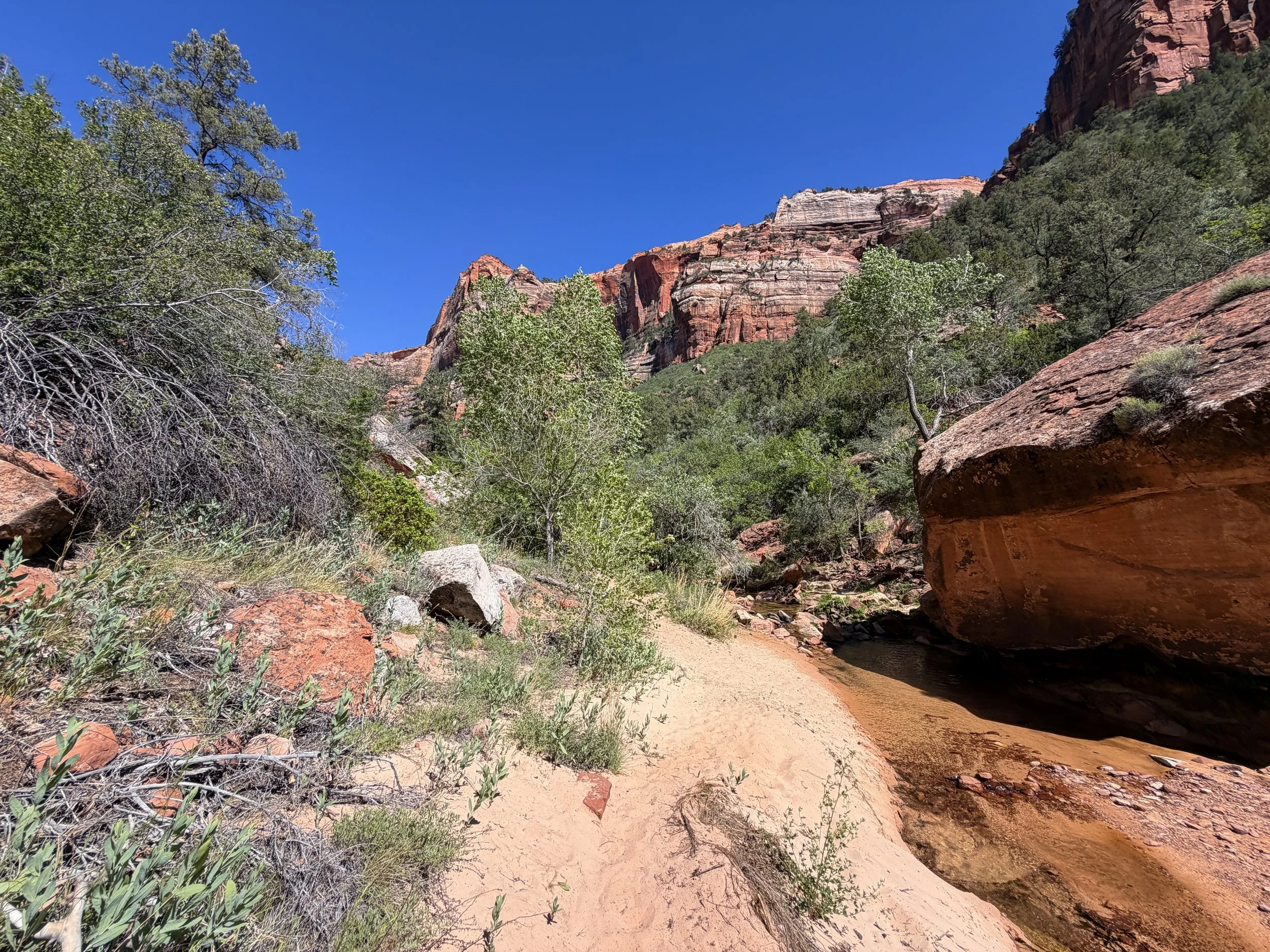 Subway Trail Left Fork North Creek Zion National Park Utah
