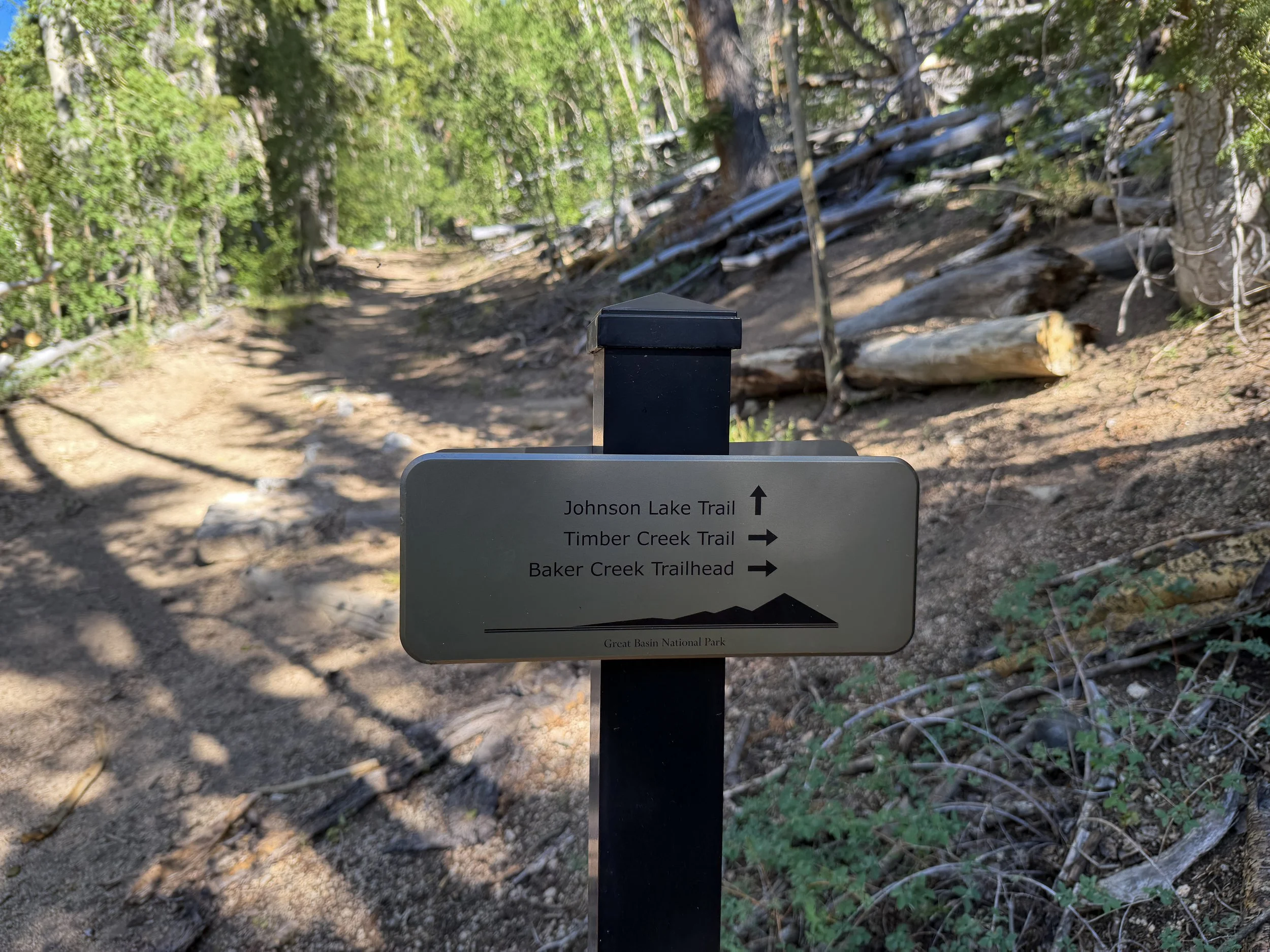 Johnson Lake Trail Great Basin National Park Nevada