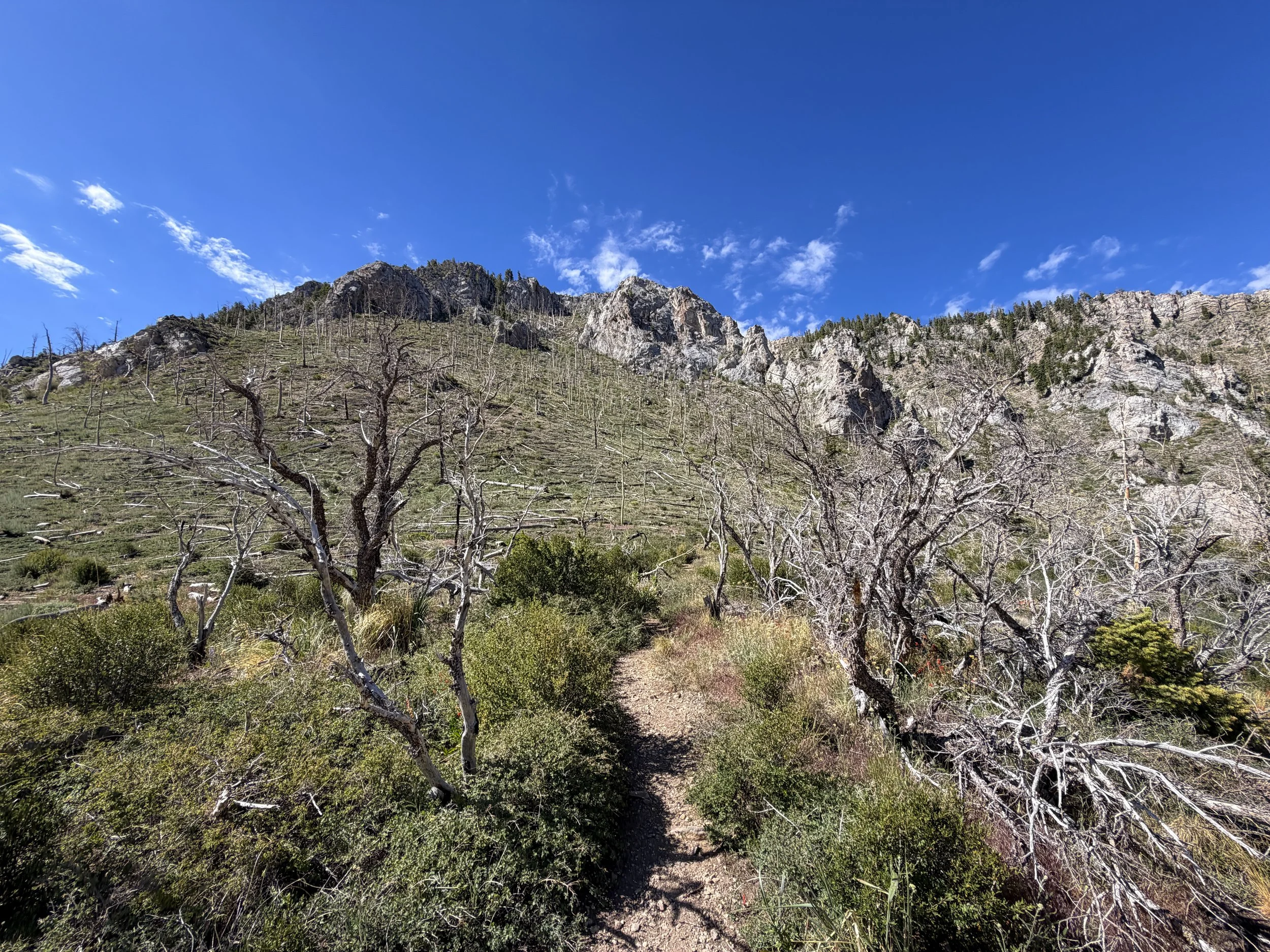 Lexington Arch Trail Great Basin National Park Nevada