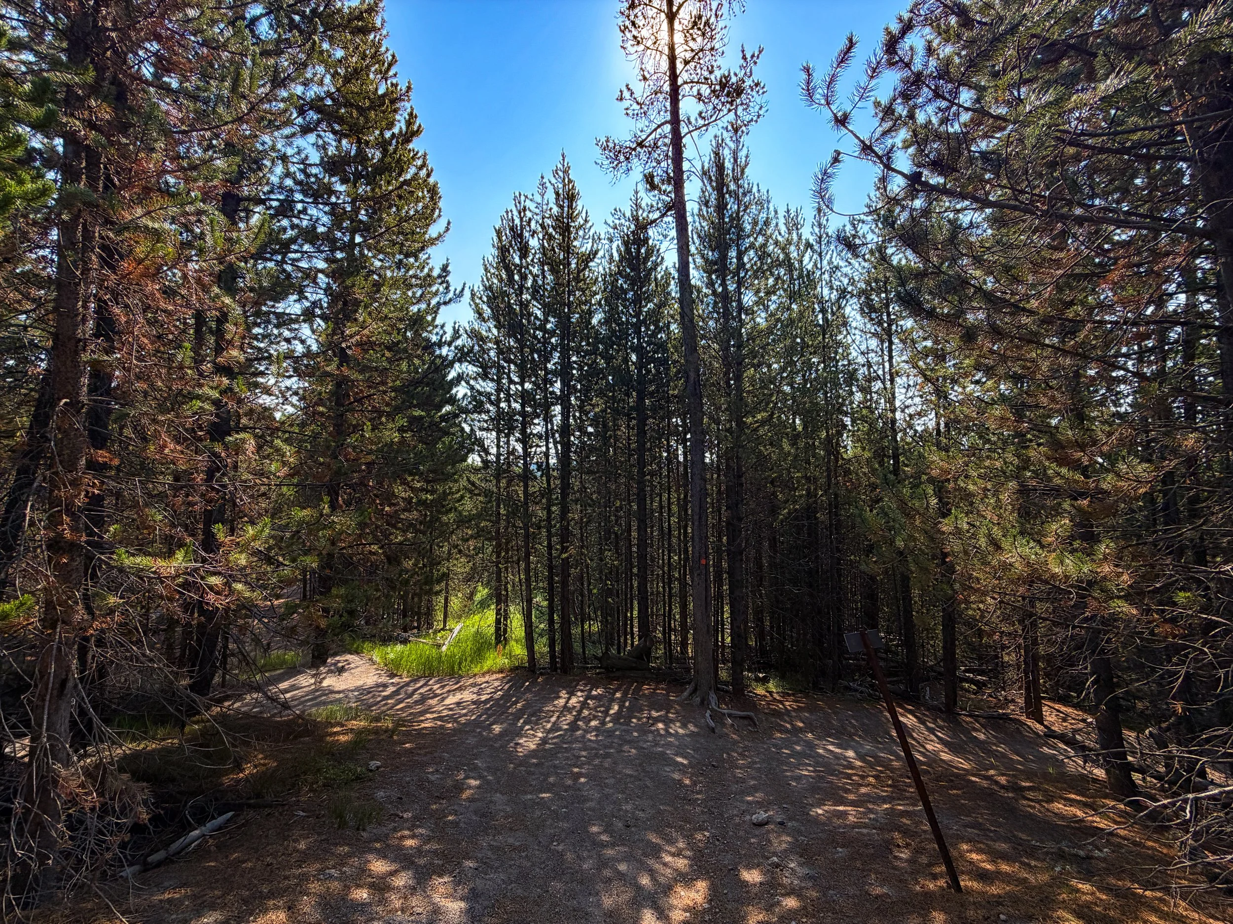 Mystic Falls Loop Trail Yellowstone National Park Wyoming
