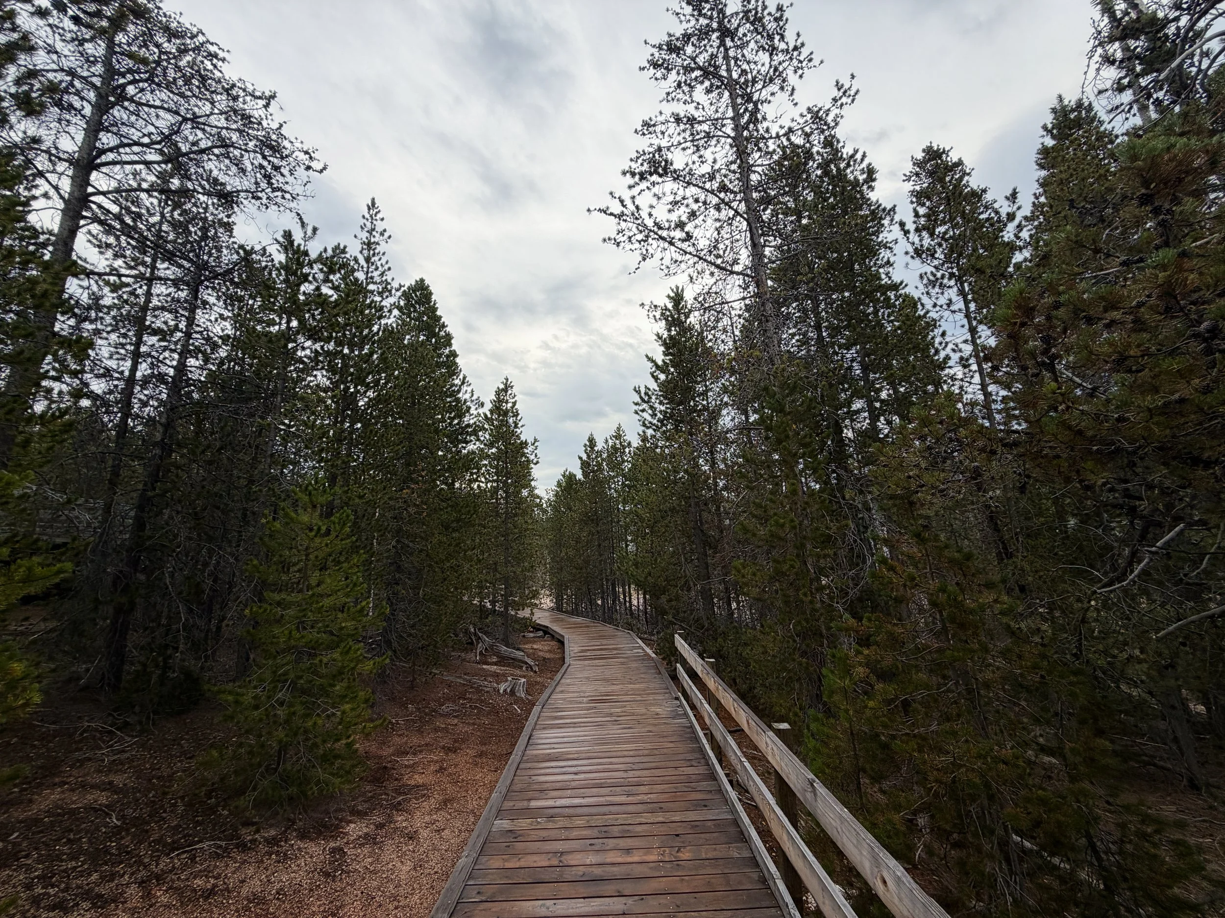 Back Basin Loop Trail Norris Geyser Basin Yellowstone National Park Wyoming