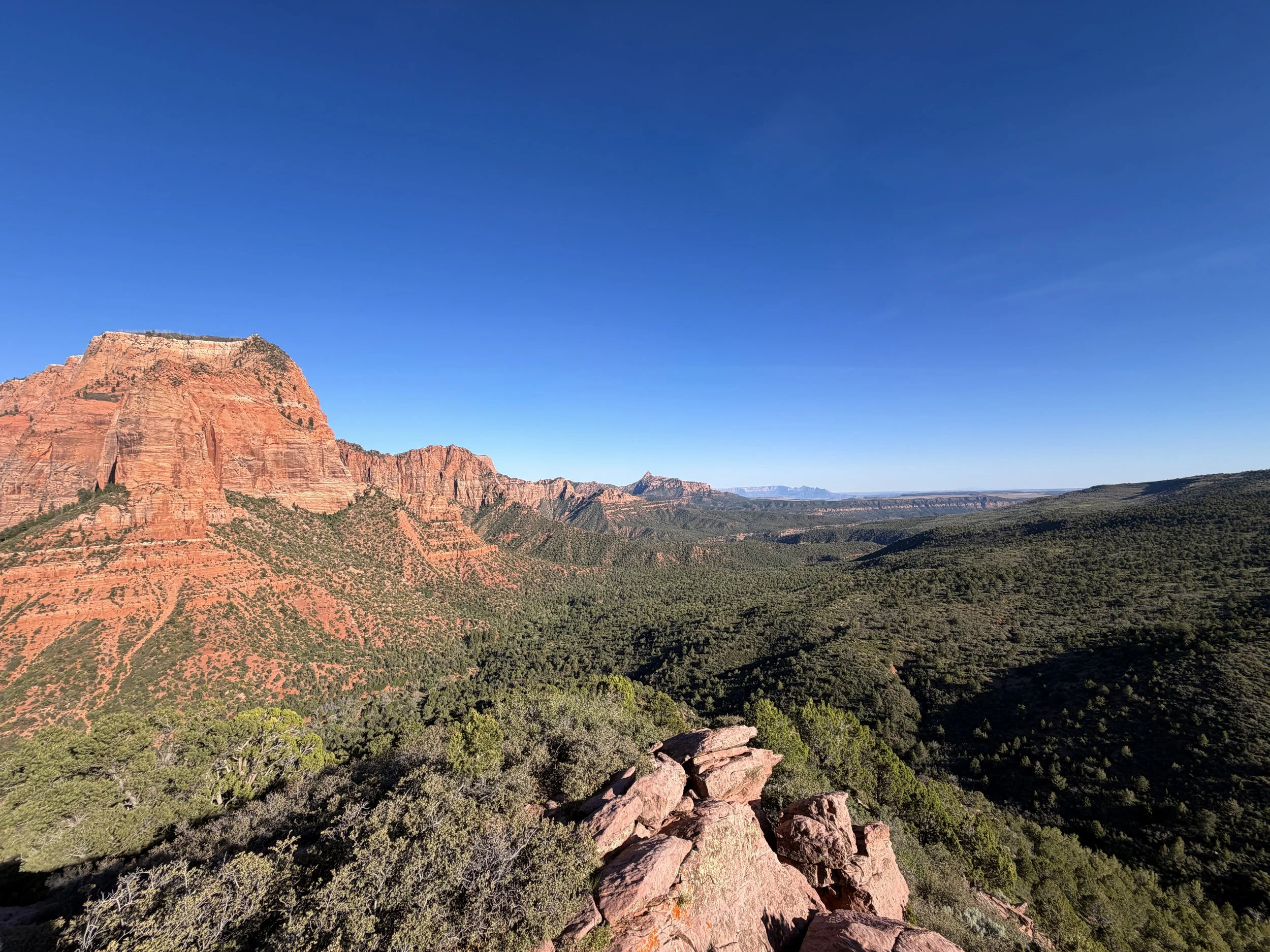 Timber Creek Overlook Zion National Park Utah