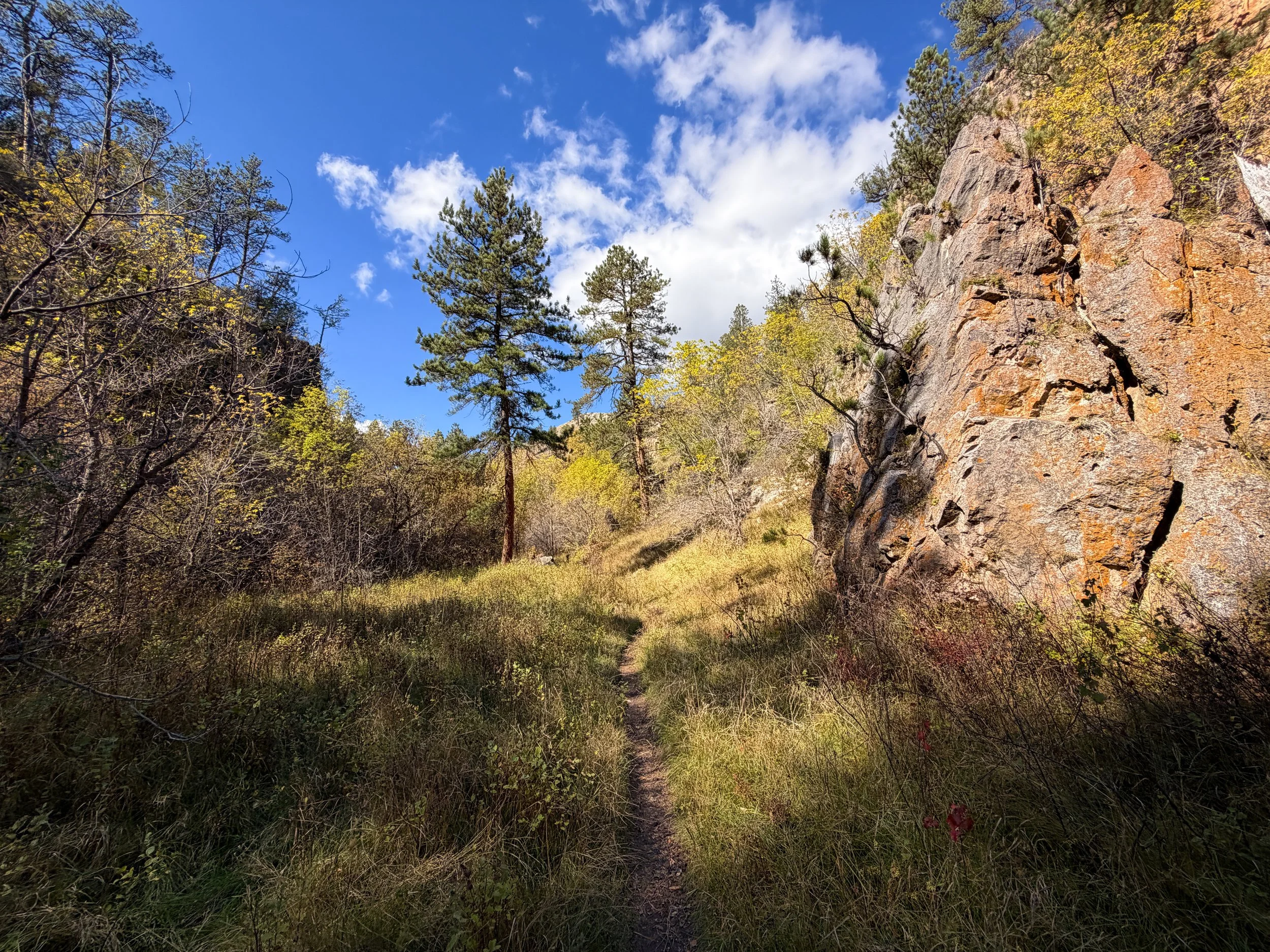 Lookout Point Loop Trail Wind Cave National Park South Dakota