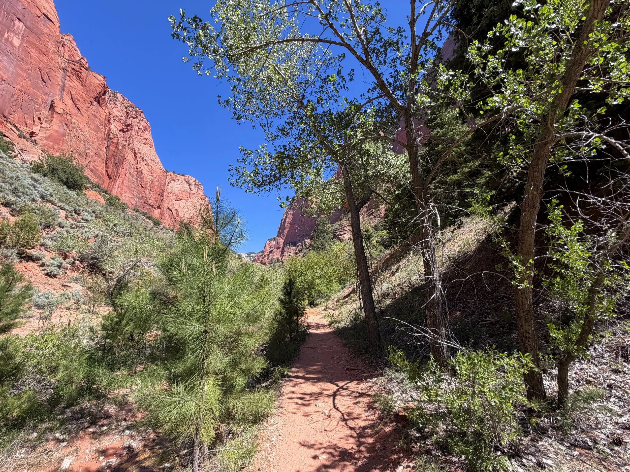 Taylor Creek Trail Zion National Park Utah