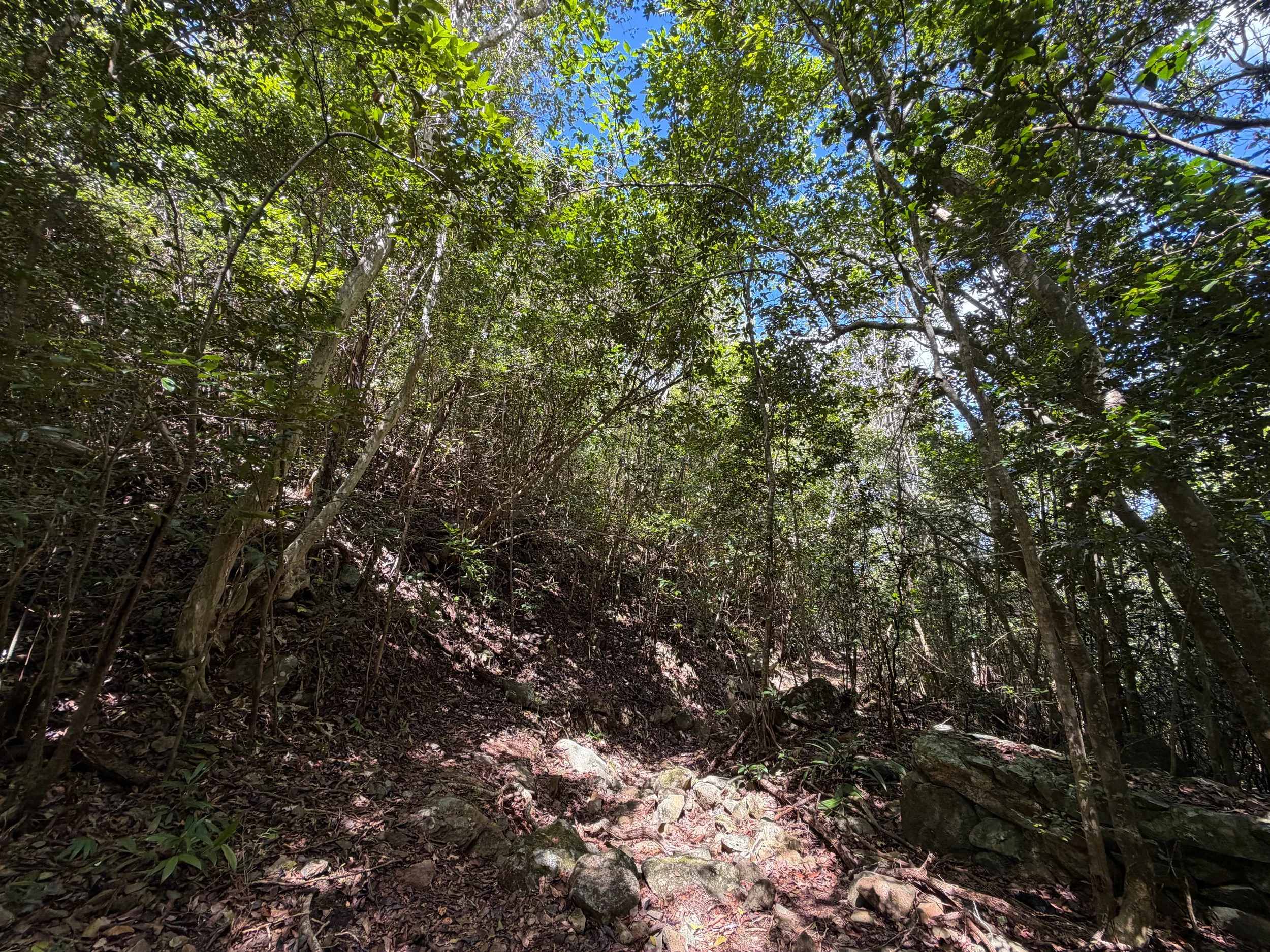 Water Catchment Hike Virgin Islands National Park