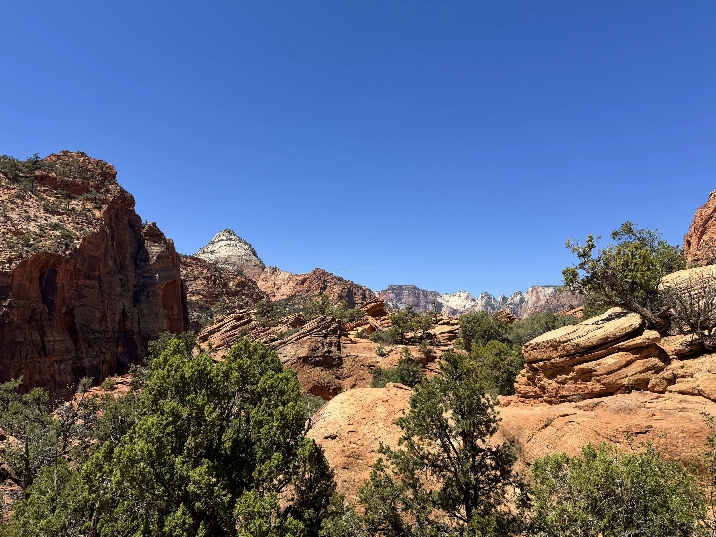 Canyon Overlook Trail Zion National Park Utah