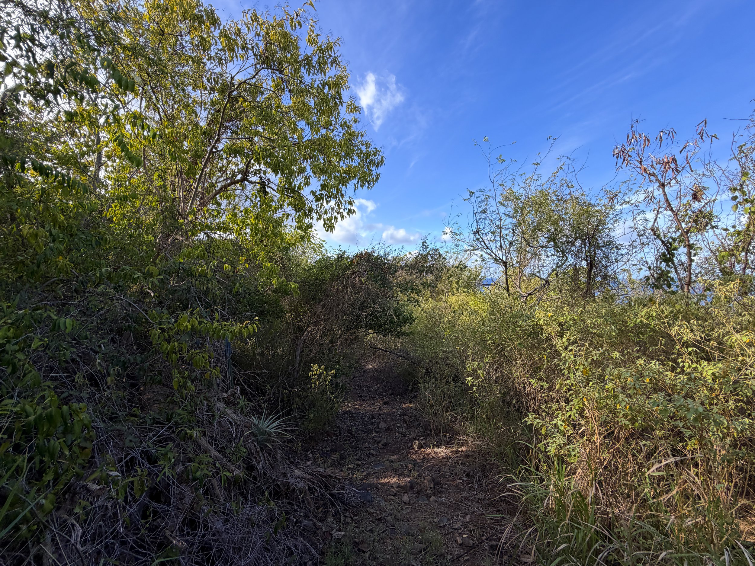 Tektite Trail Virgin Islands National Park