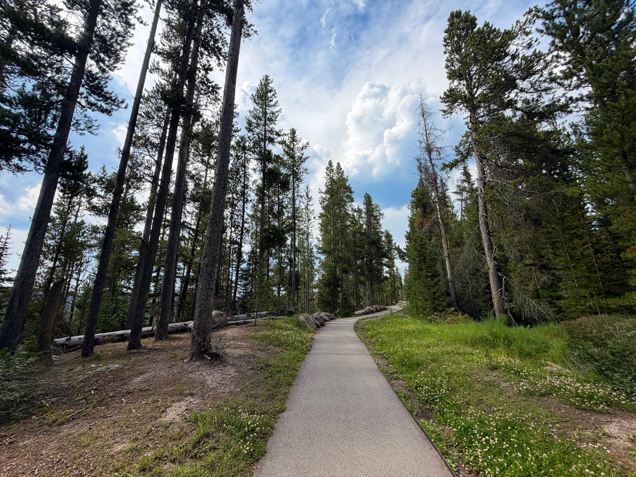 South Rim Hike Yellowstone National Park Wyoming