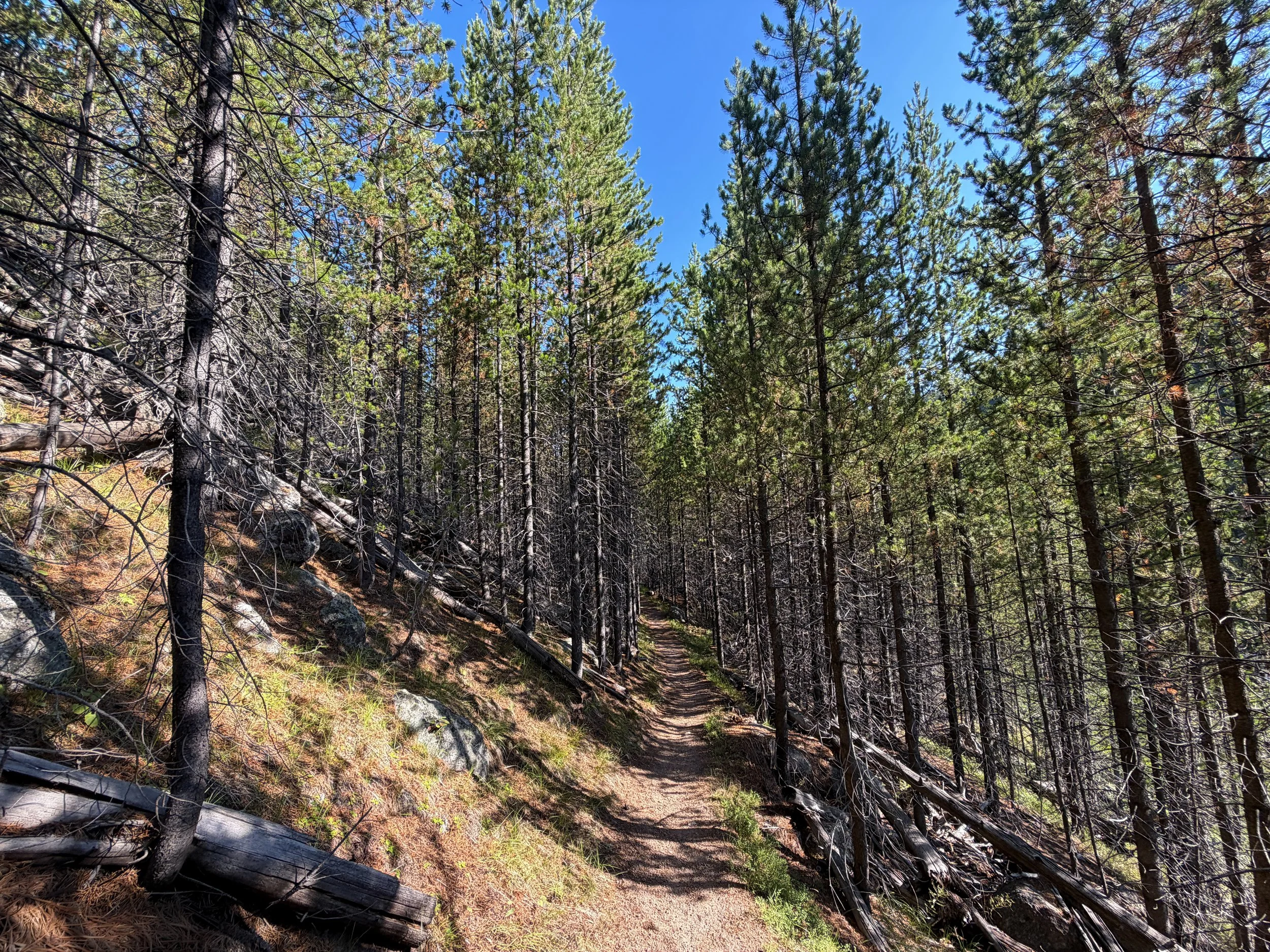 Monument Geyser Basin Trail Yellowstone National Park Wyoming