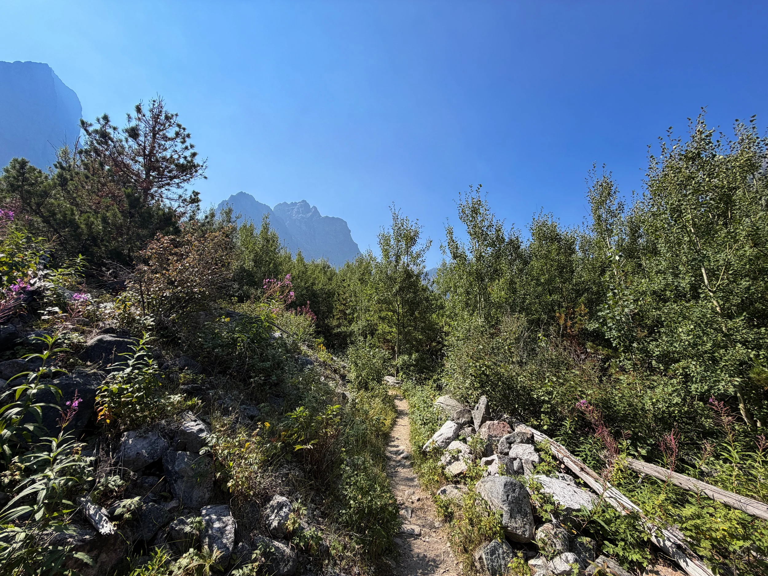 The Beaten Path Hike Beartooth Mountains Montana
