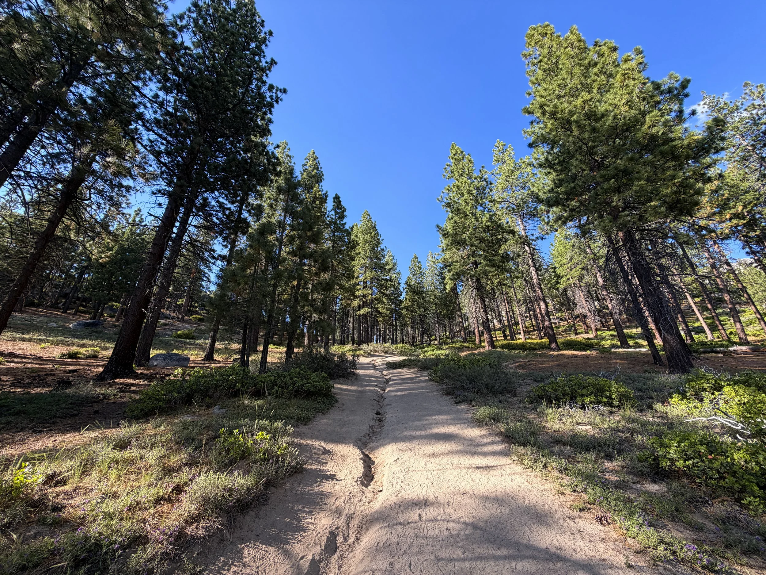Monkey Rock Trail Lake Tahoe Nevada