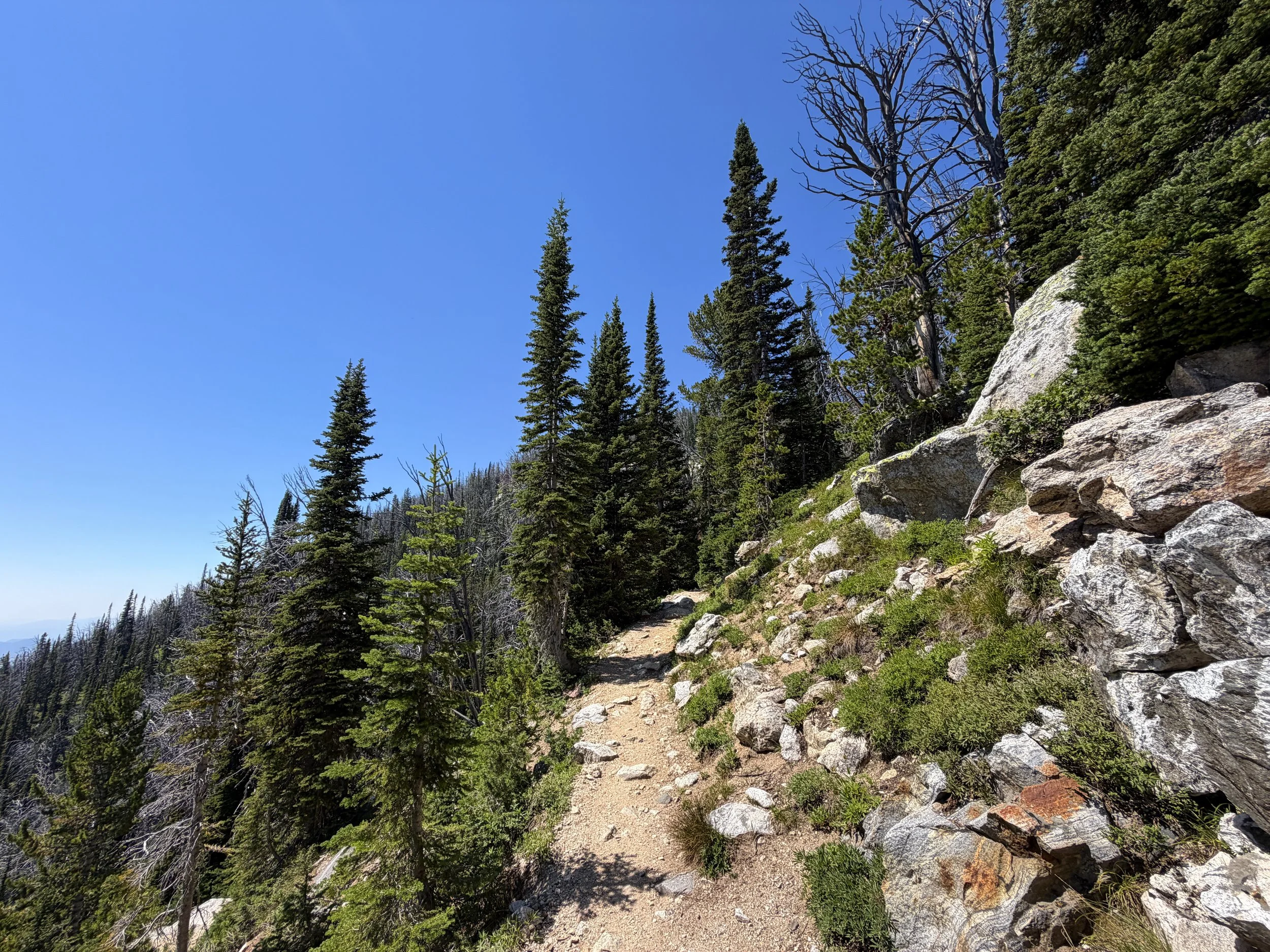 Surprise and Amphitheater Lakes Trail Grand Teton National Park Wyoming