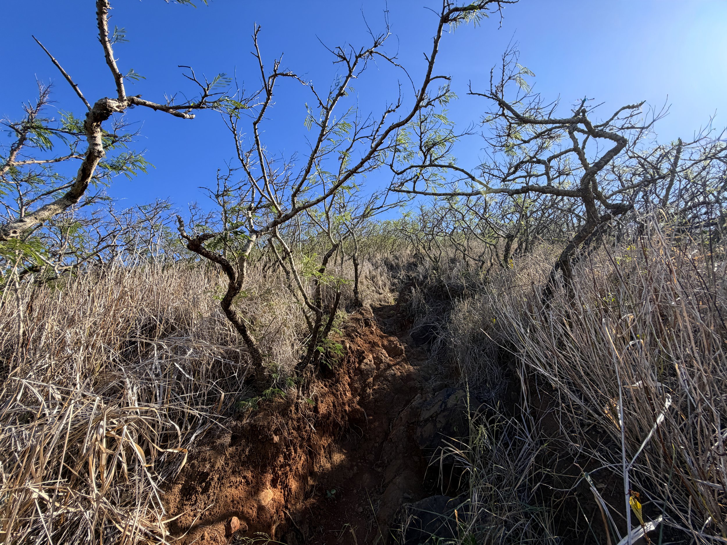 Back Lanikai Pillbox Trail Oahu Hawaii