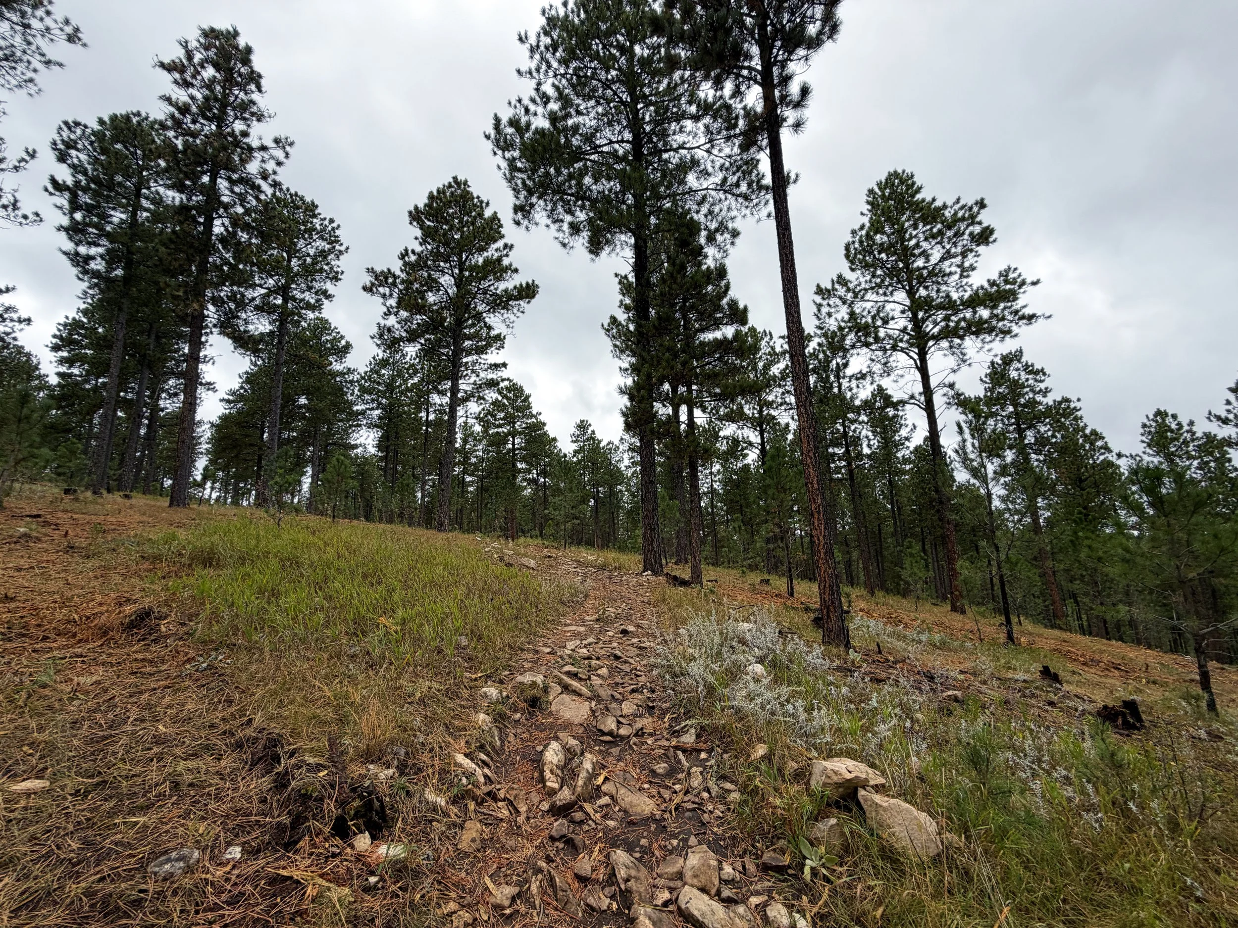 Buzzards Roost Trail Black Hills Rapid City South Dakota