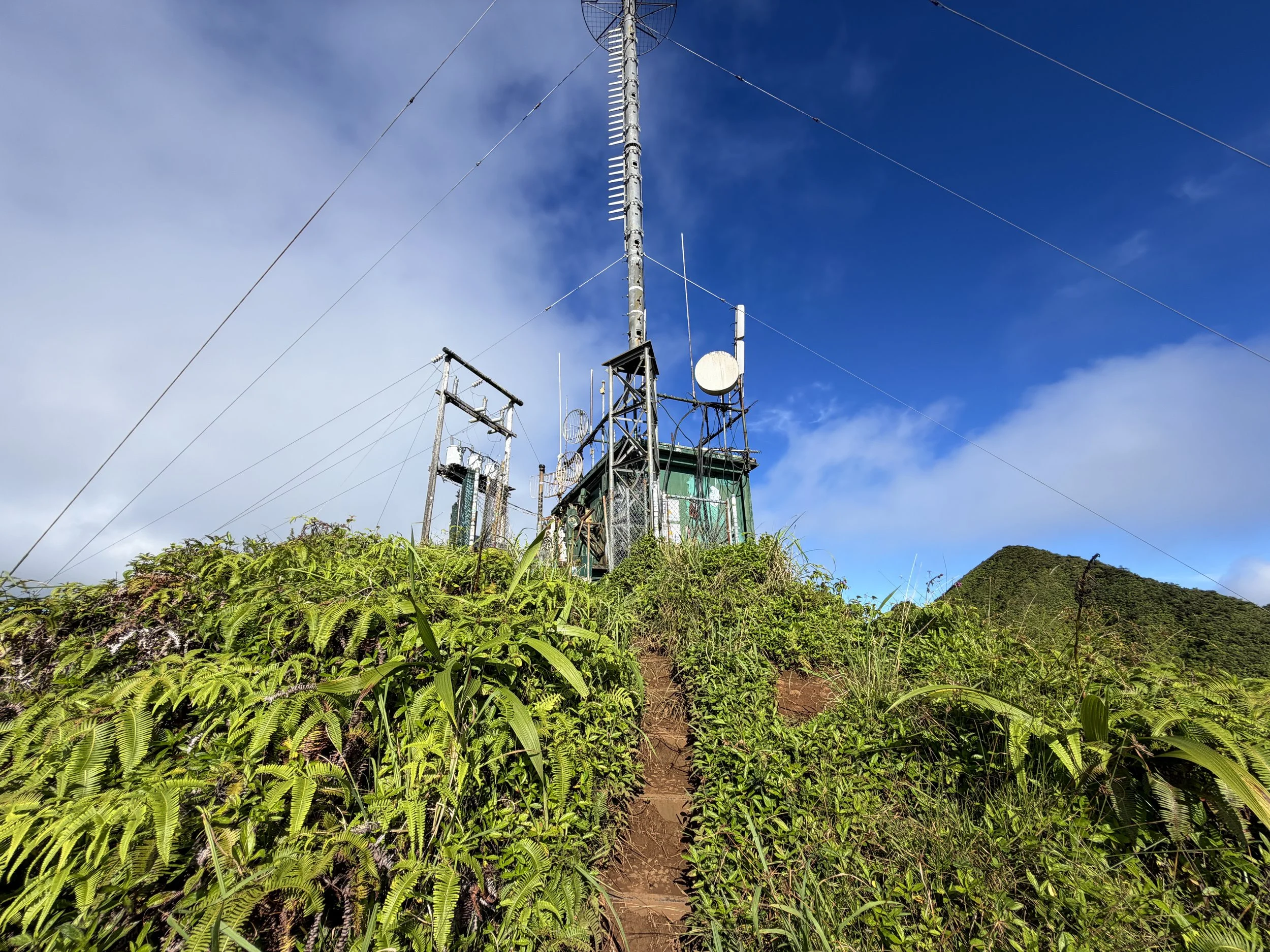 Wiliwilinui Ridge Trail Tower Oahu Hawaii