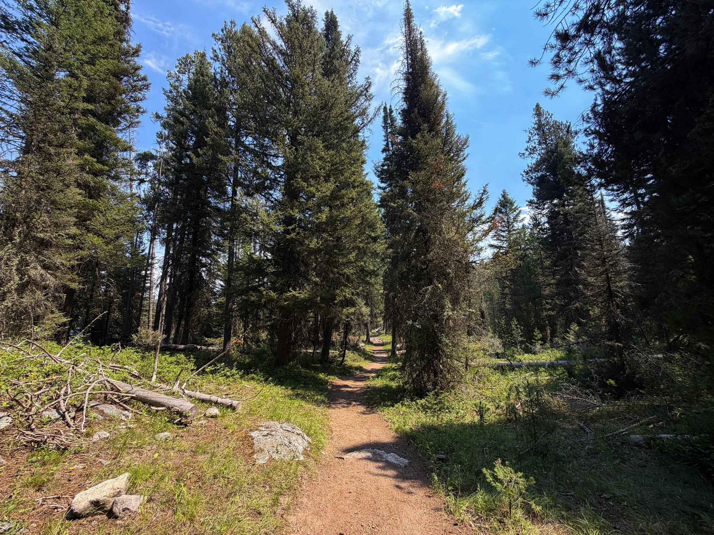 Phelps Lake Loop Trail Grand Teton National Park Wyoming