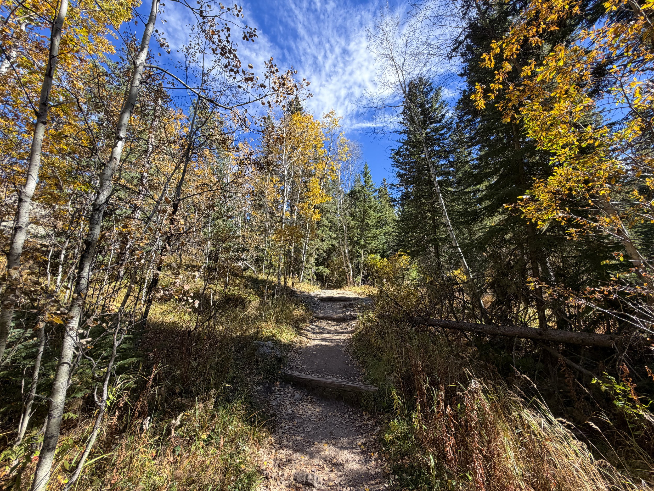 Black Elk Peak Trail Black Hills South Dakota