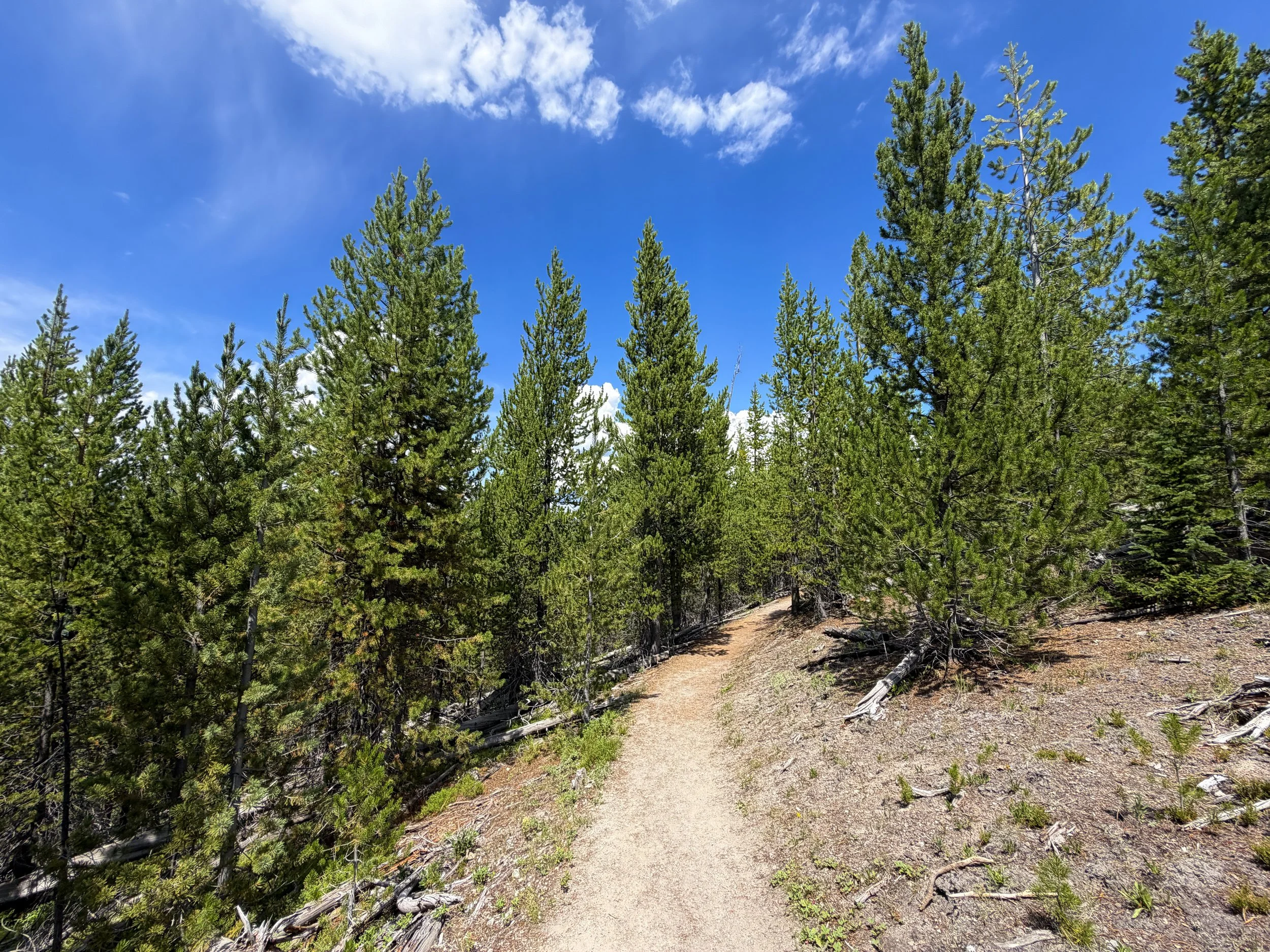 Duck Lake Hike Yellowstone National Park Wyoming