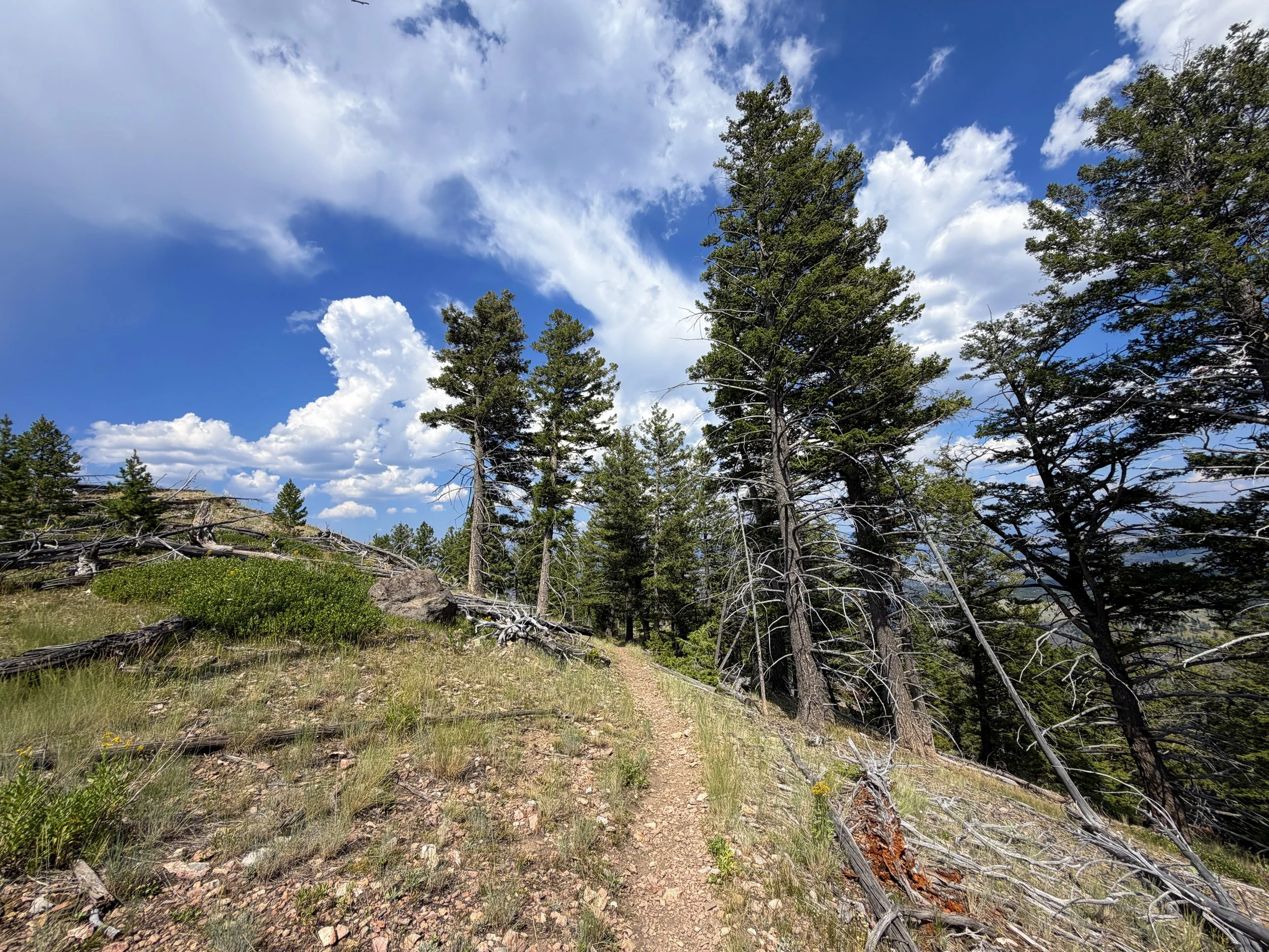 Bunsen Peak Trail Yellowstone National Park Wyoming