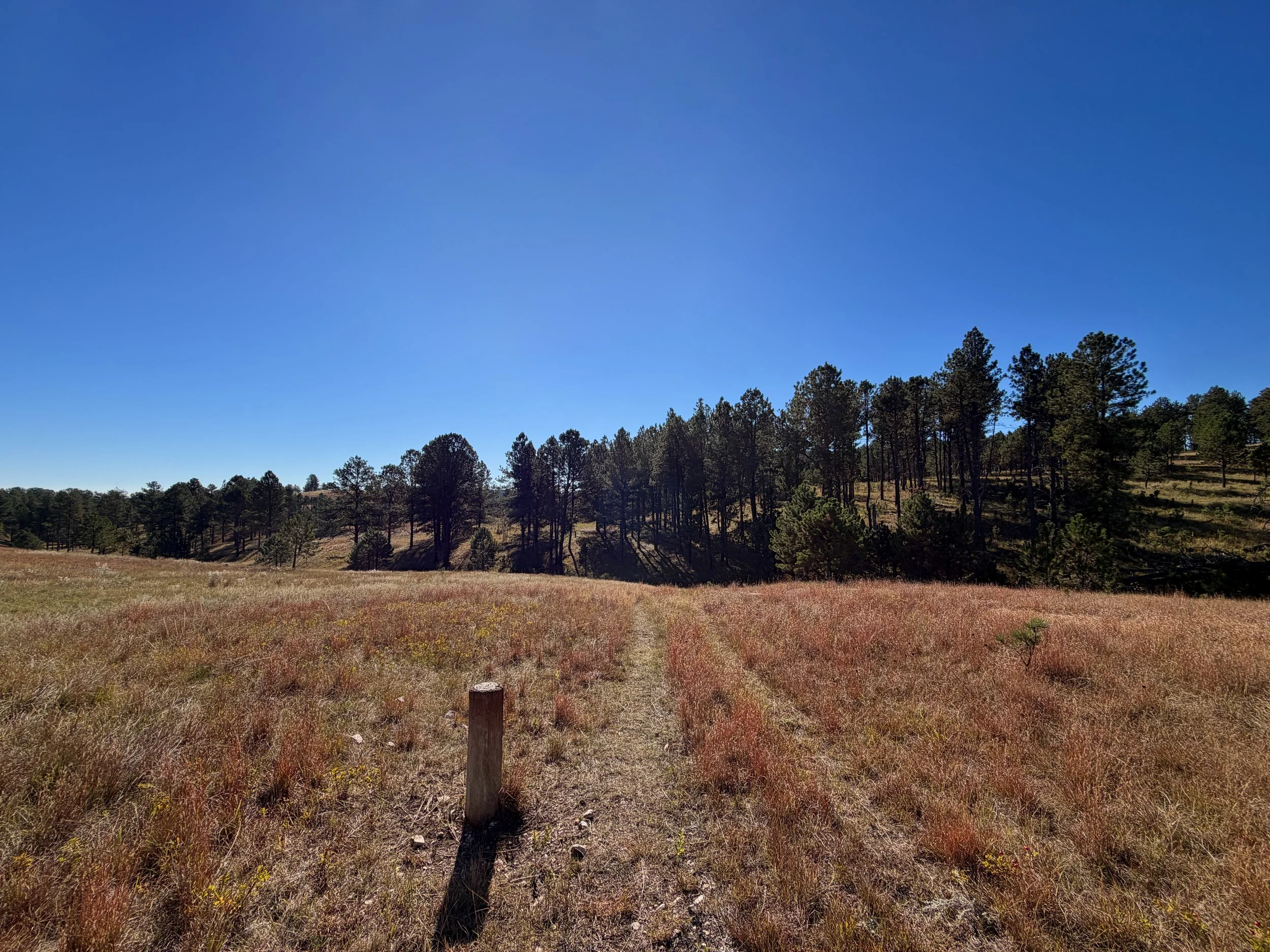 Sanctuary Hike Wind Cave National Park South Dakota