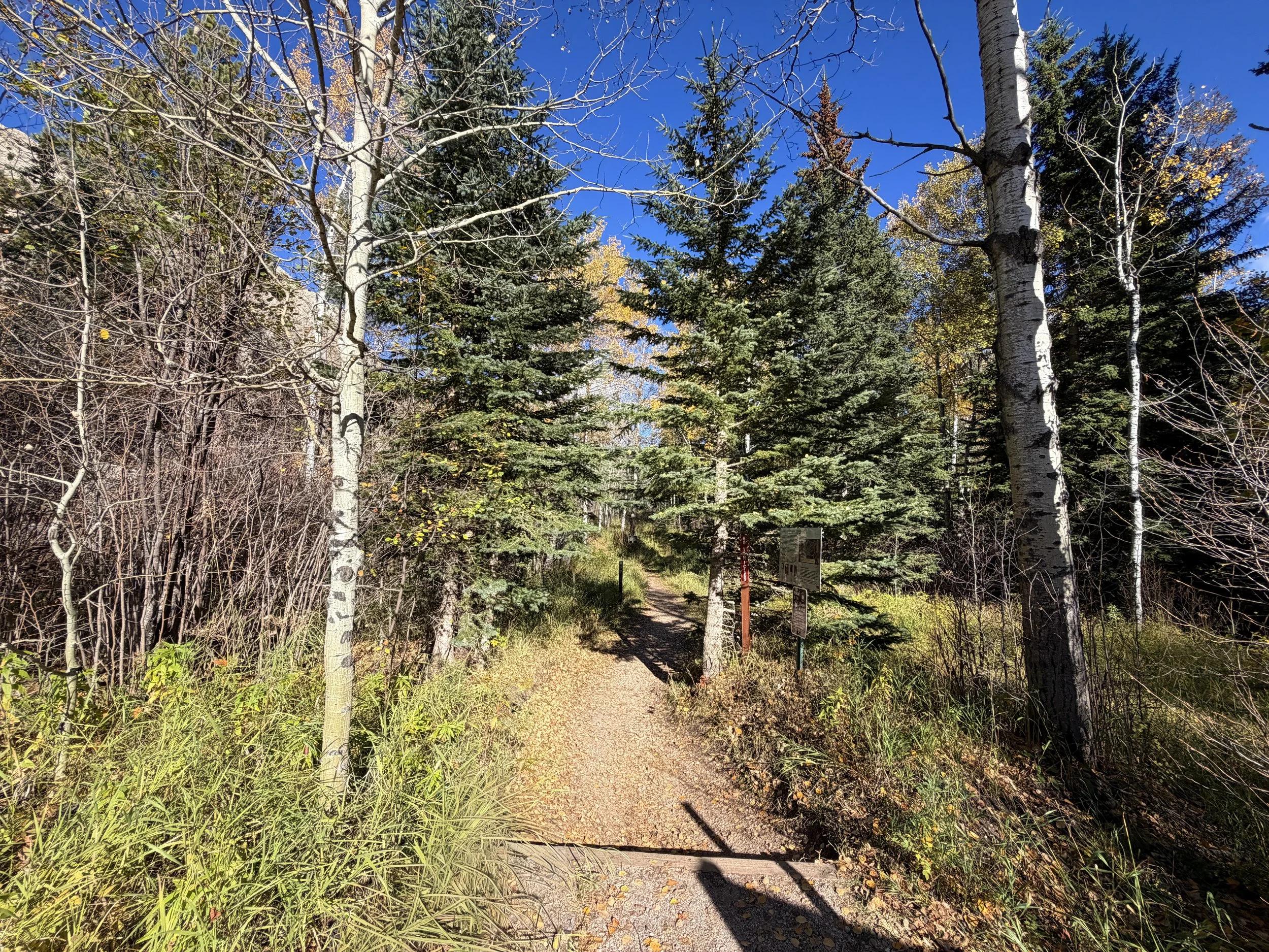 Little Devils Tower Trail Custer State Park Black Hills South Dakota