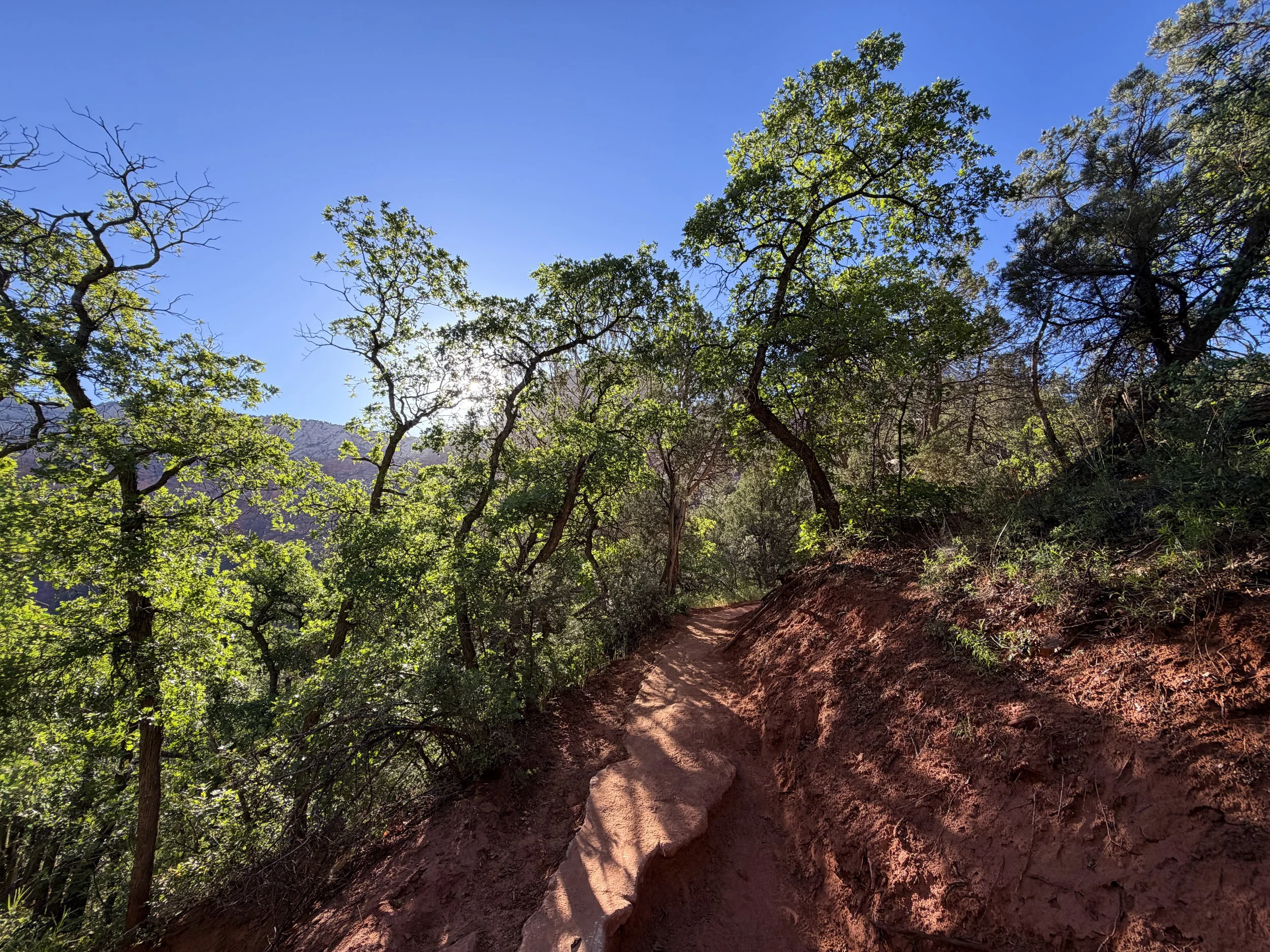 Sand Bench Trail Zion National Park Utah
