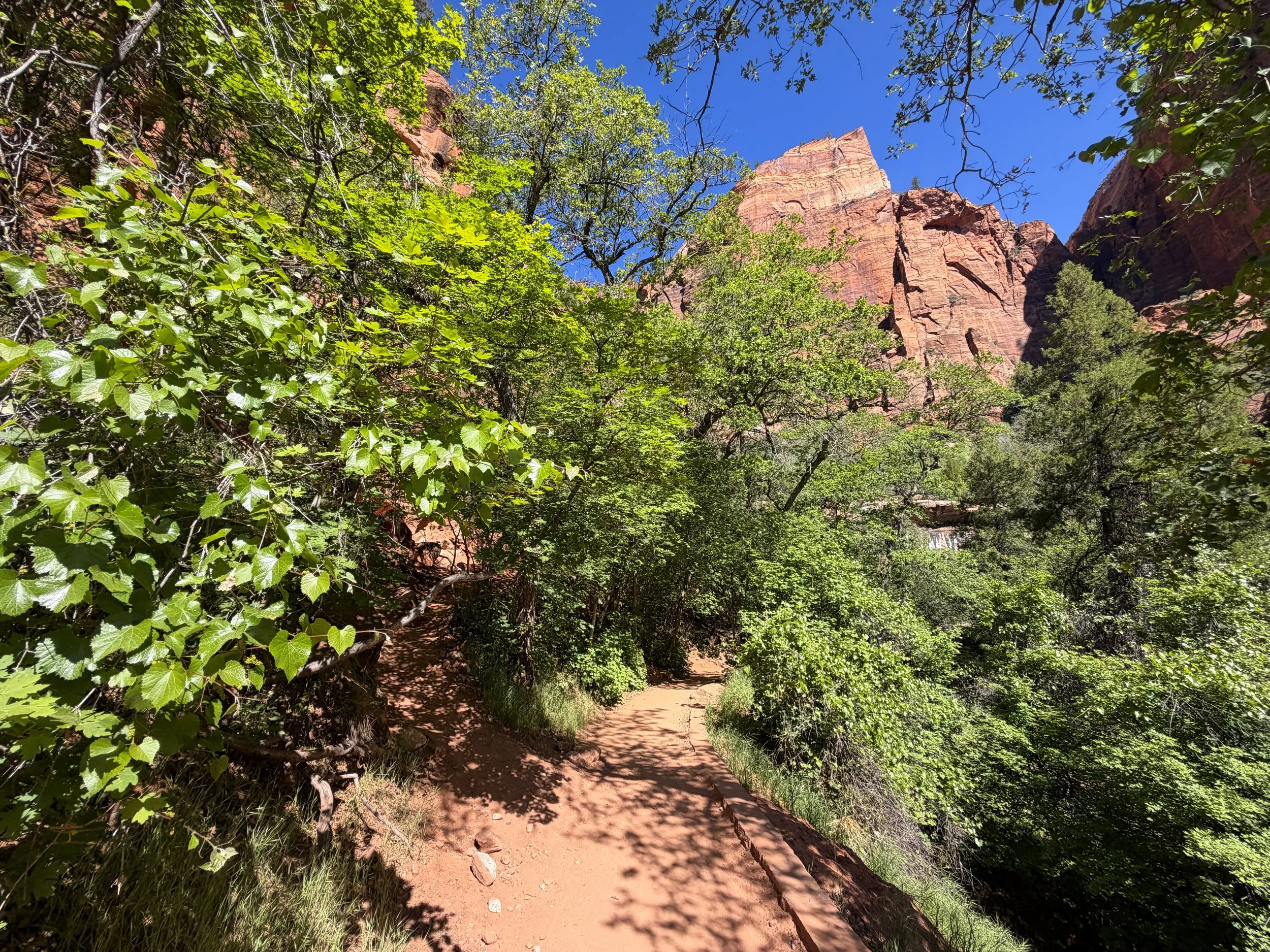 Lower Emerald Pools Hike Zion National Park Utah