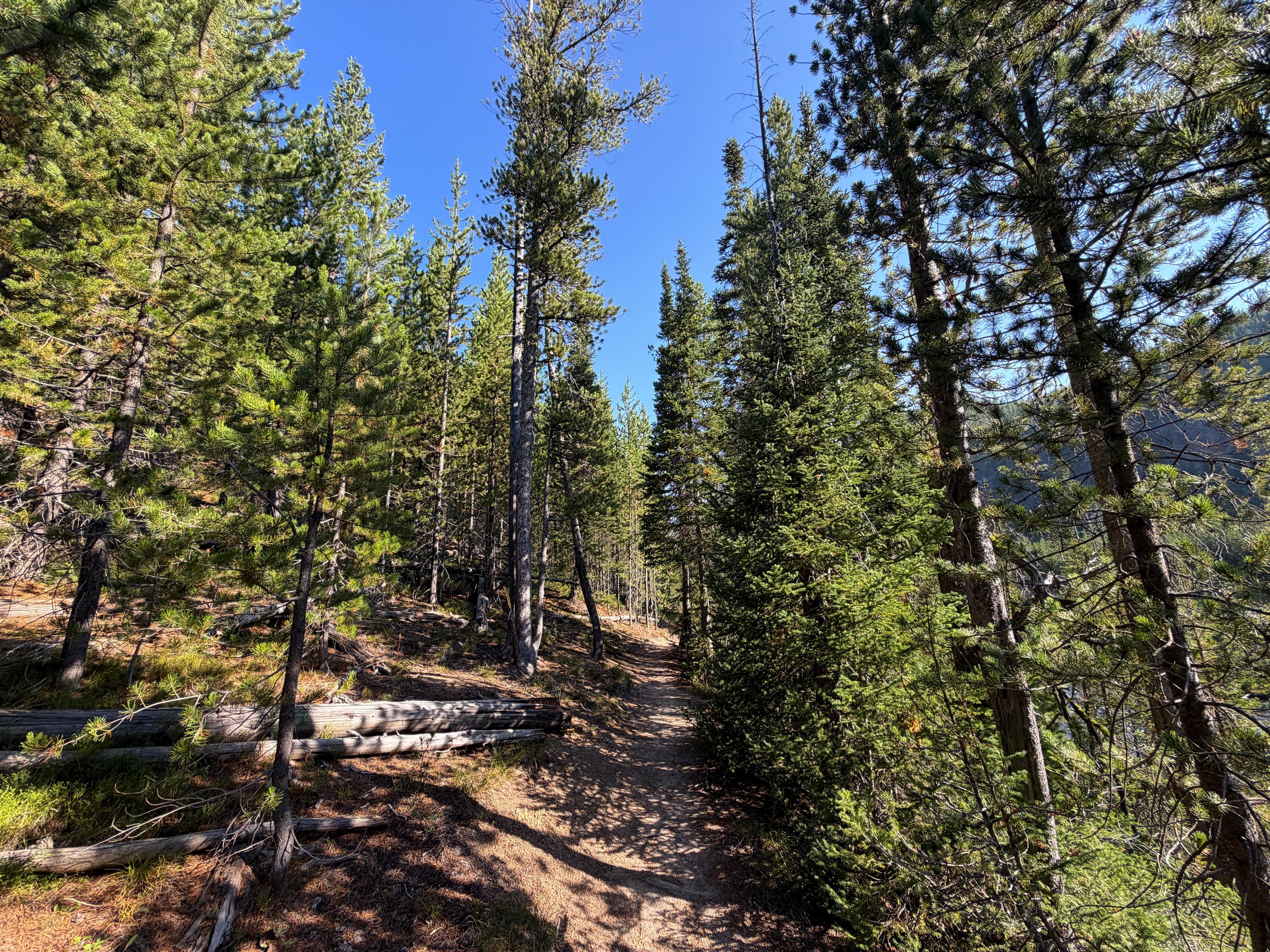 Monument Geyser Basin Trail Yellowstone National Park Wyoming