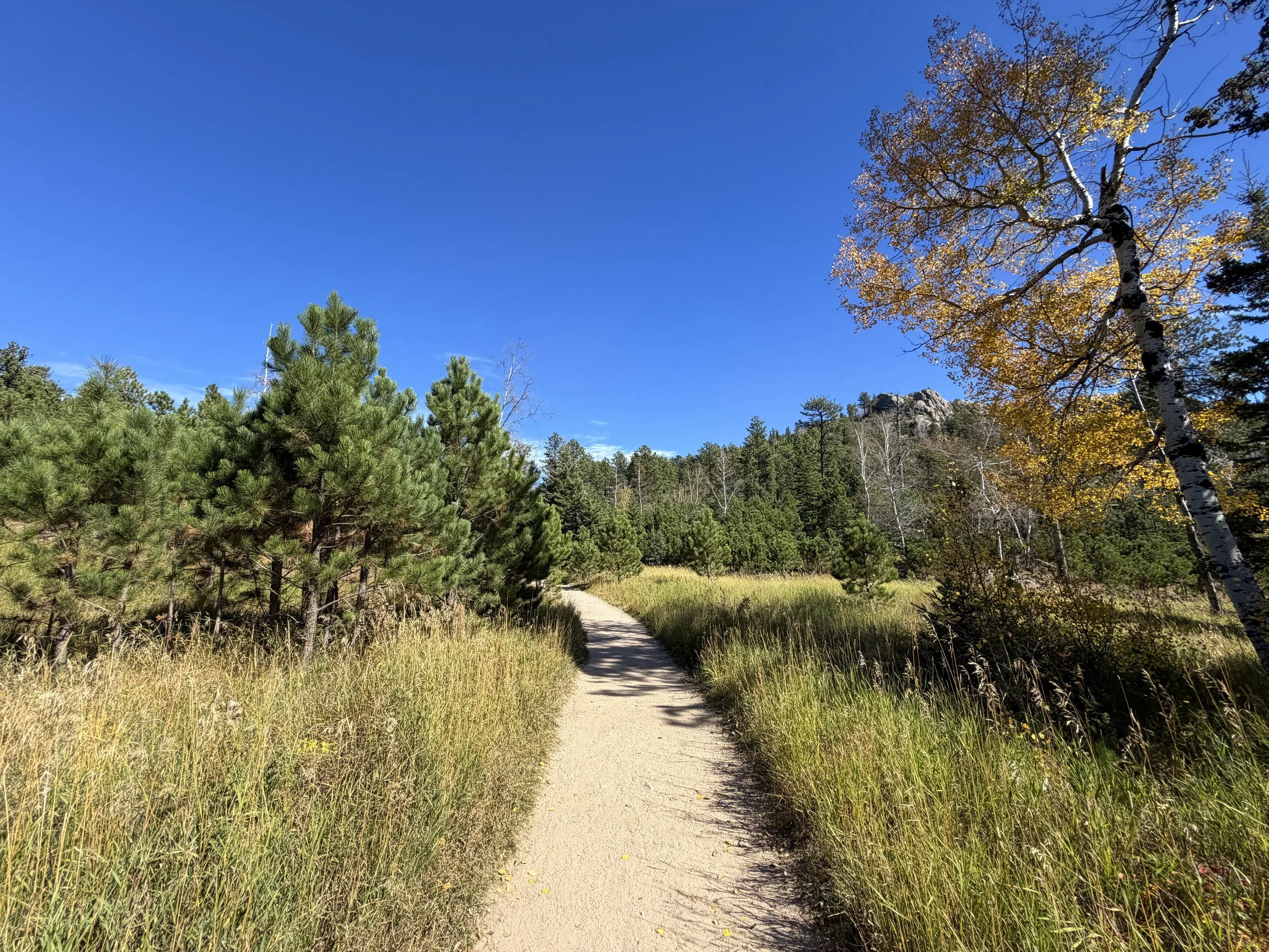 Black Elk Peak Trail Custer State Park Black Hills South Dakota