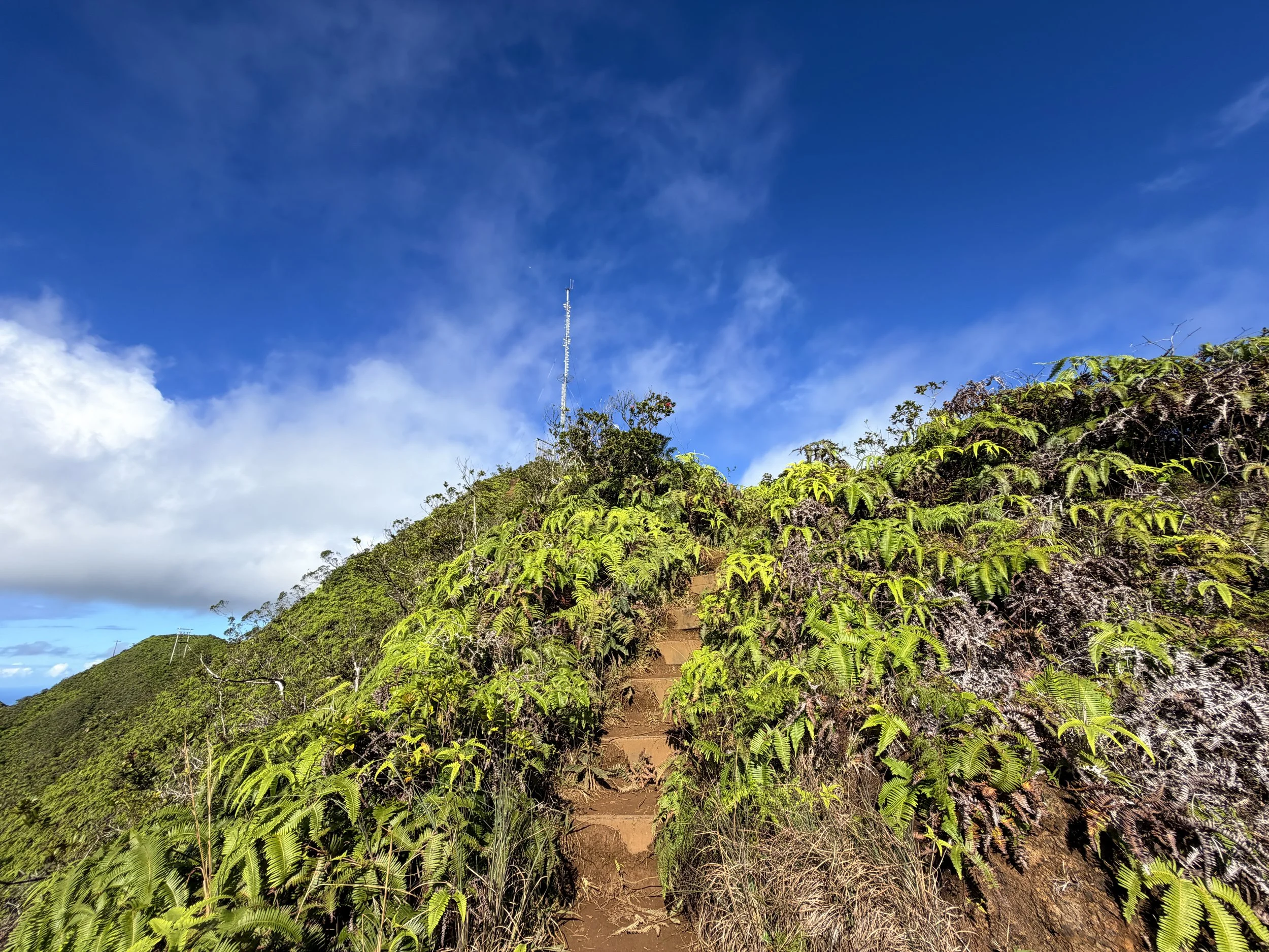 Wiliwilinui Ridge Trail Stairs Oahu Hawaii