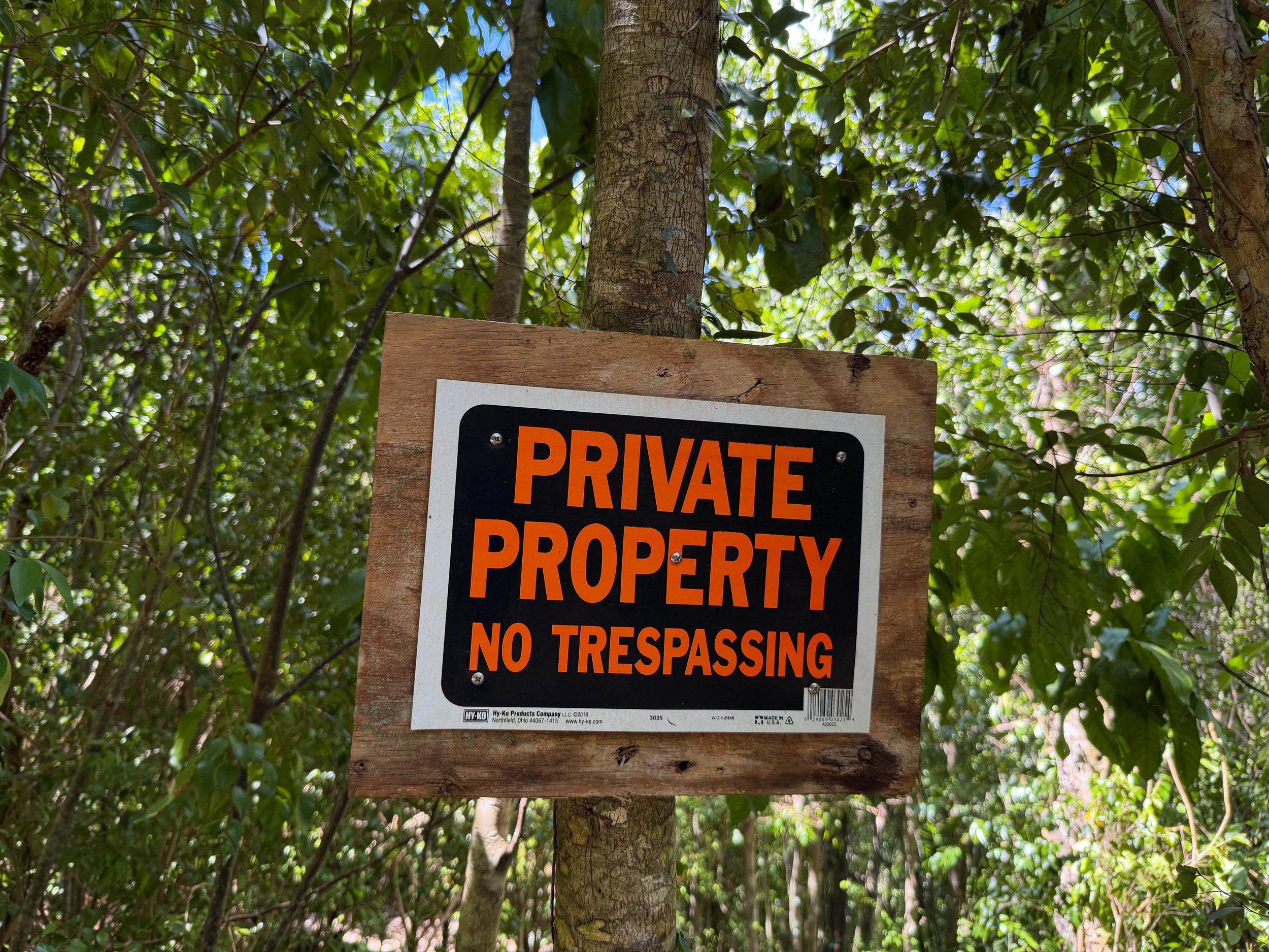 Johnny Horn Trail Virgin Islands National Park