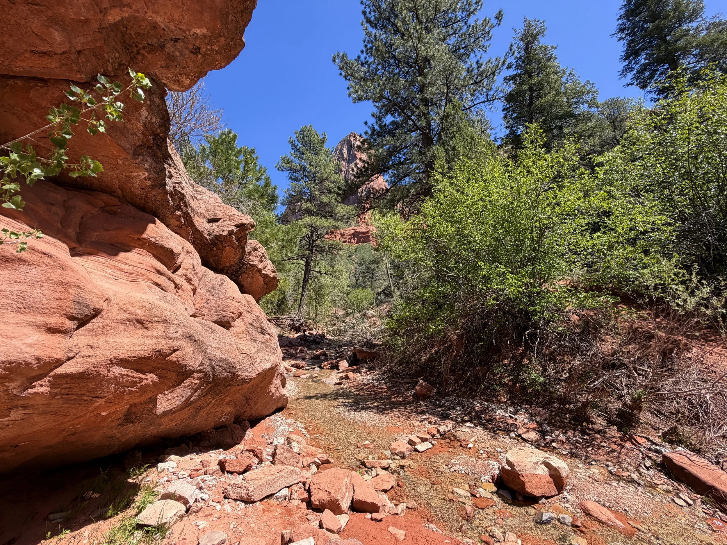 Middle Taylor Creek Trail to Double Arch Alcove Zion National Park Utah