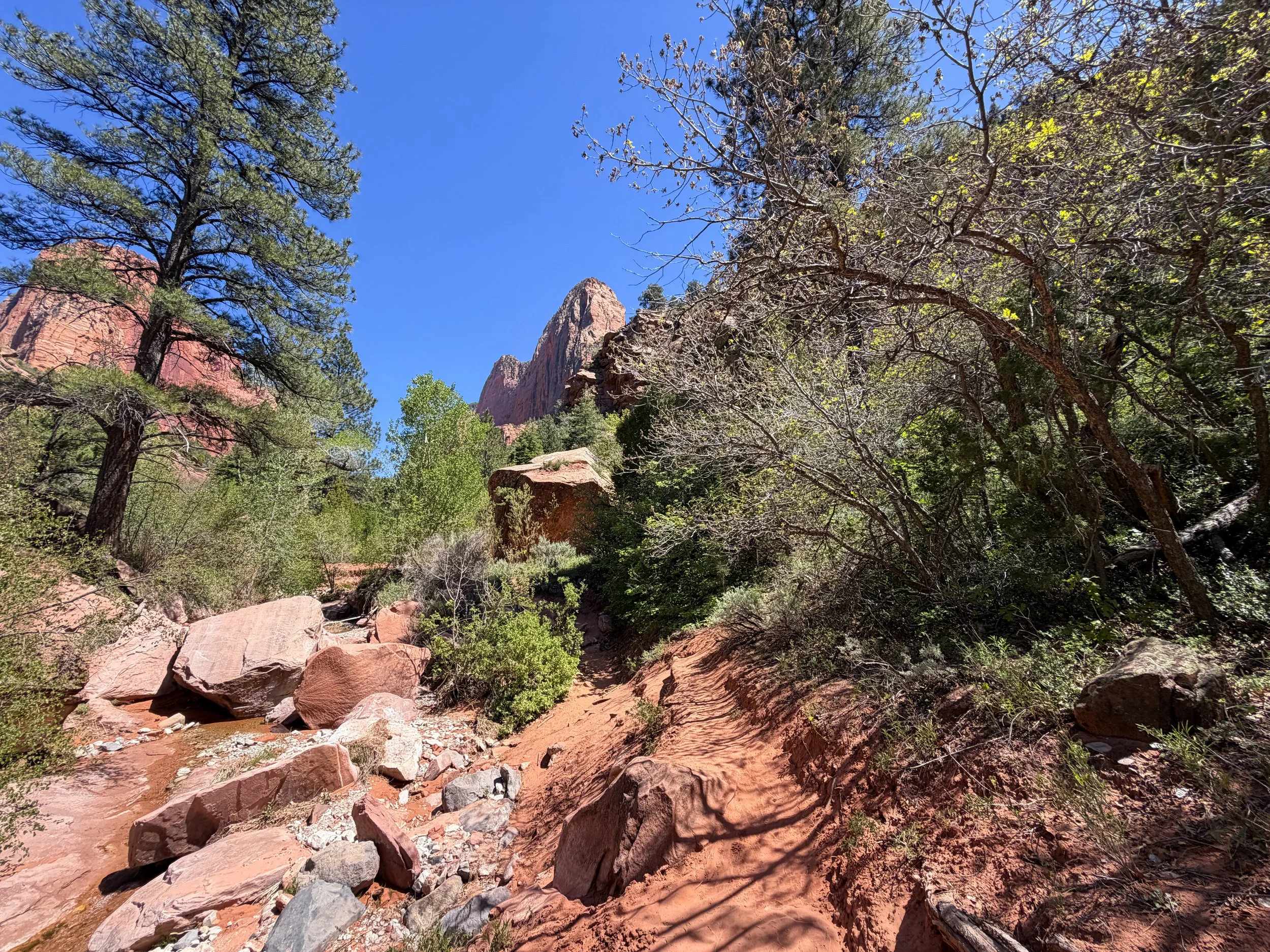 Middle Taylor Creek Trail Zion National Park Utah