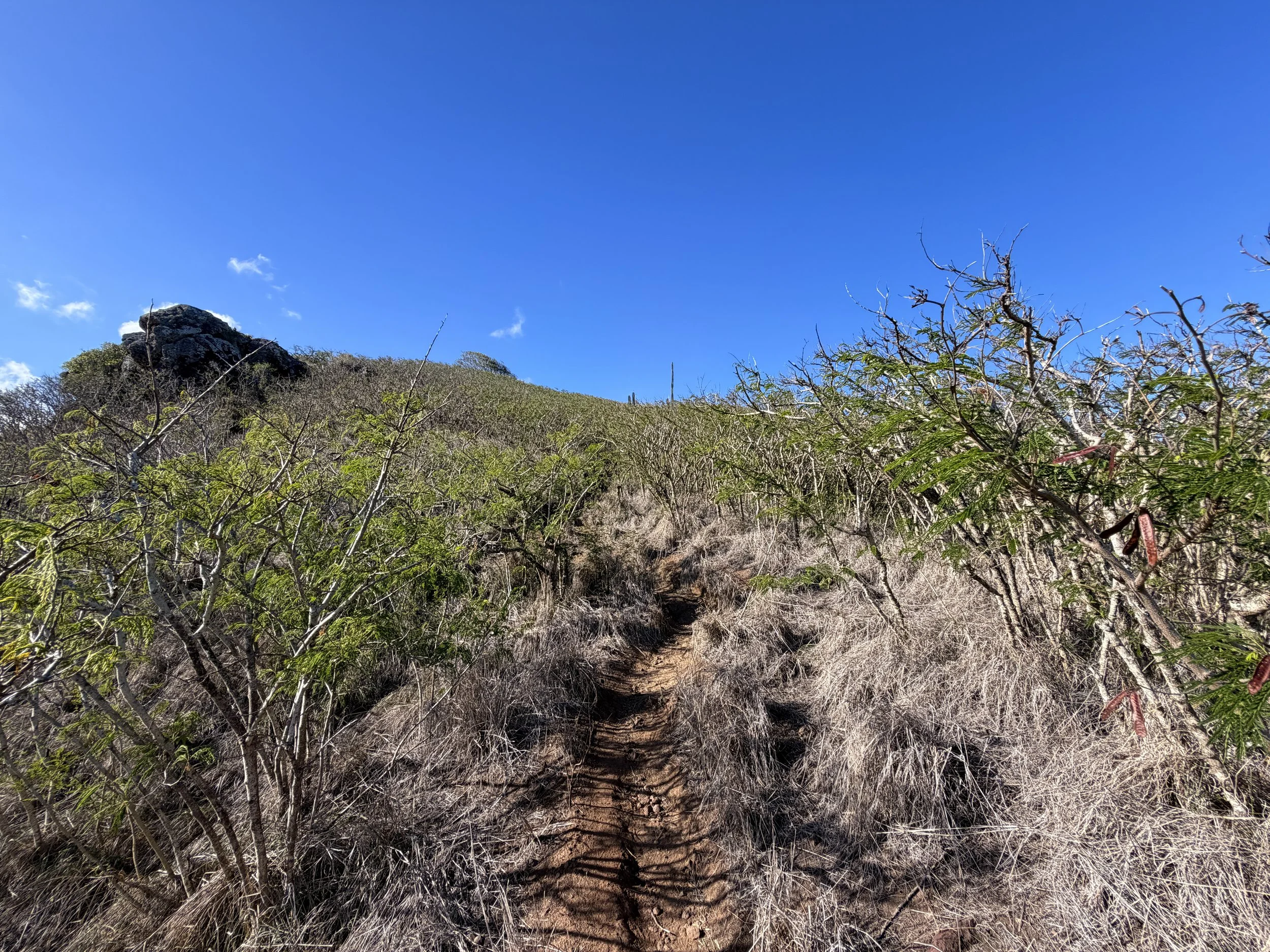 Back Way Lanikai Pillbox Trail Oahu Hawaii