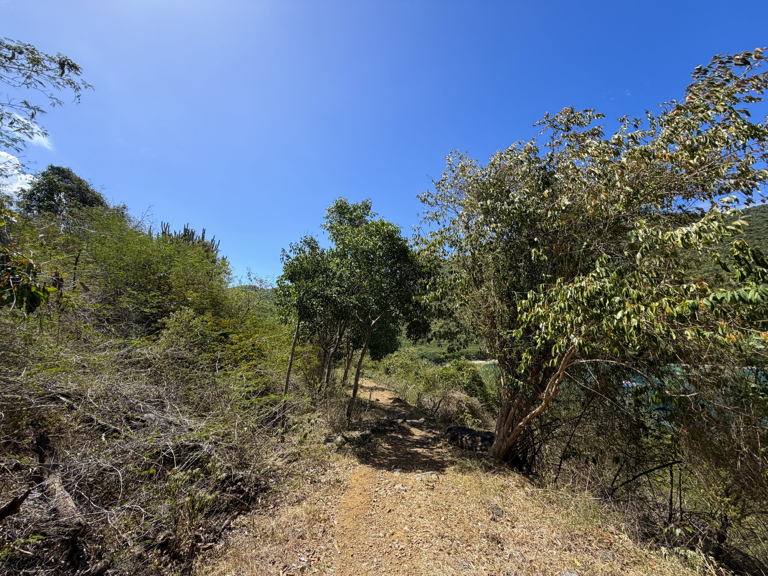 Johnny Horn Trail Virgin Islands National Park