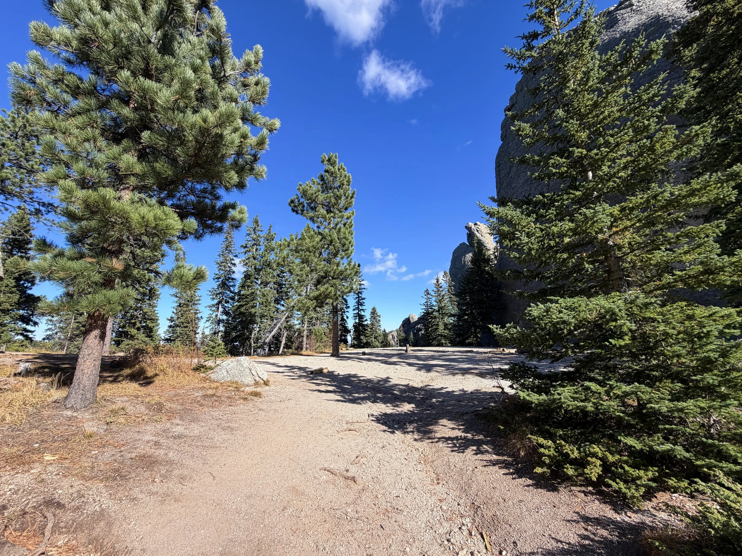 Cathedral Spires Trail Custer State Park Black Hills South Dakota