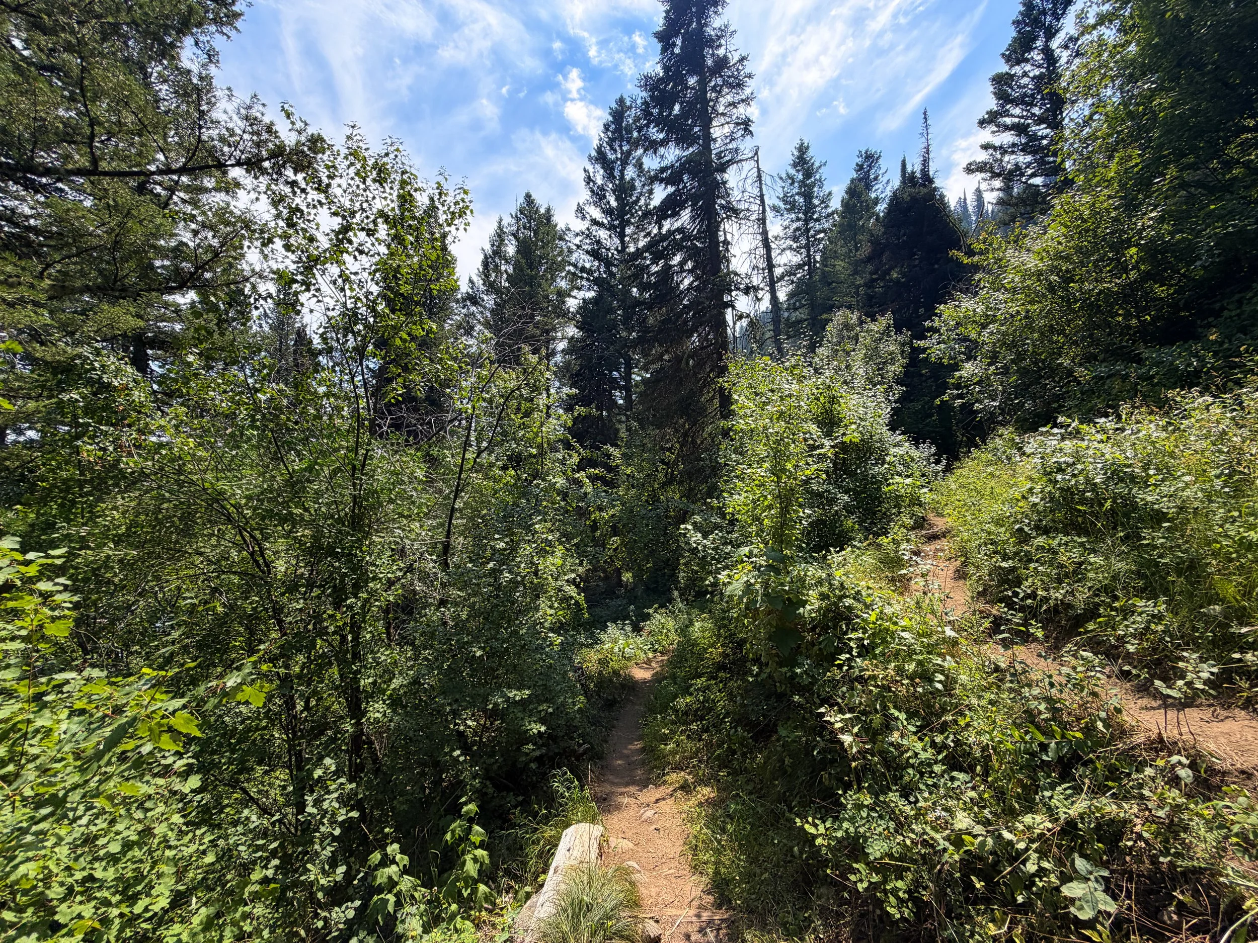 Phelps Lake Trail Grand Teton National Park Wyoming