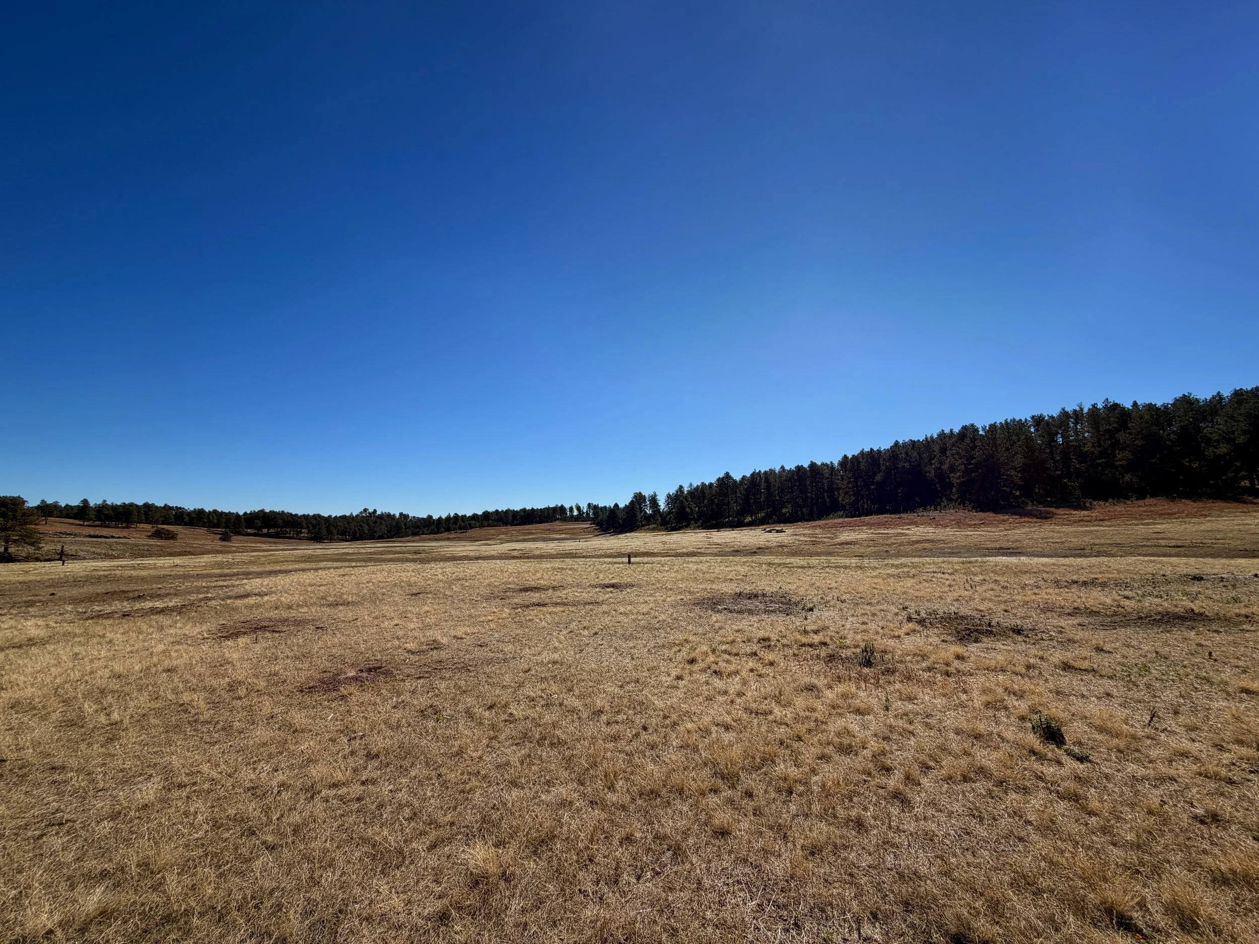 Sanctuary Trail Wind Cave National Park South Dakota