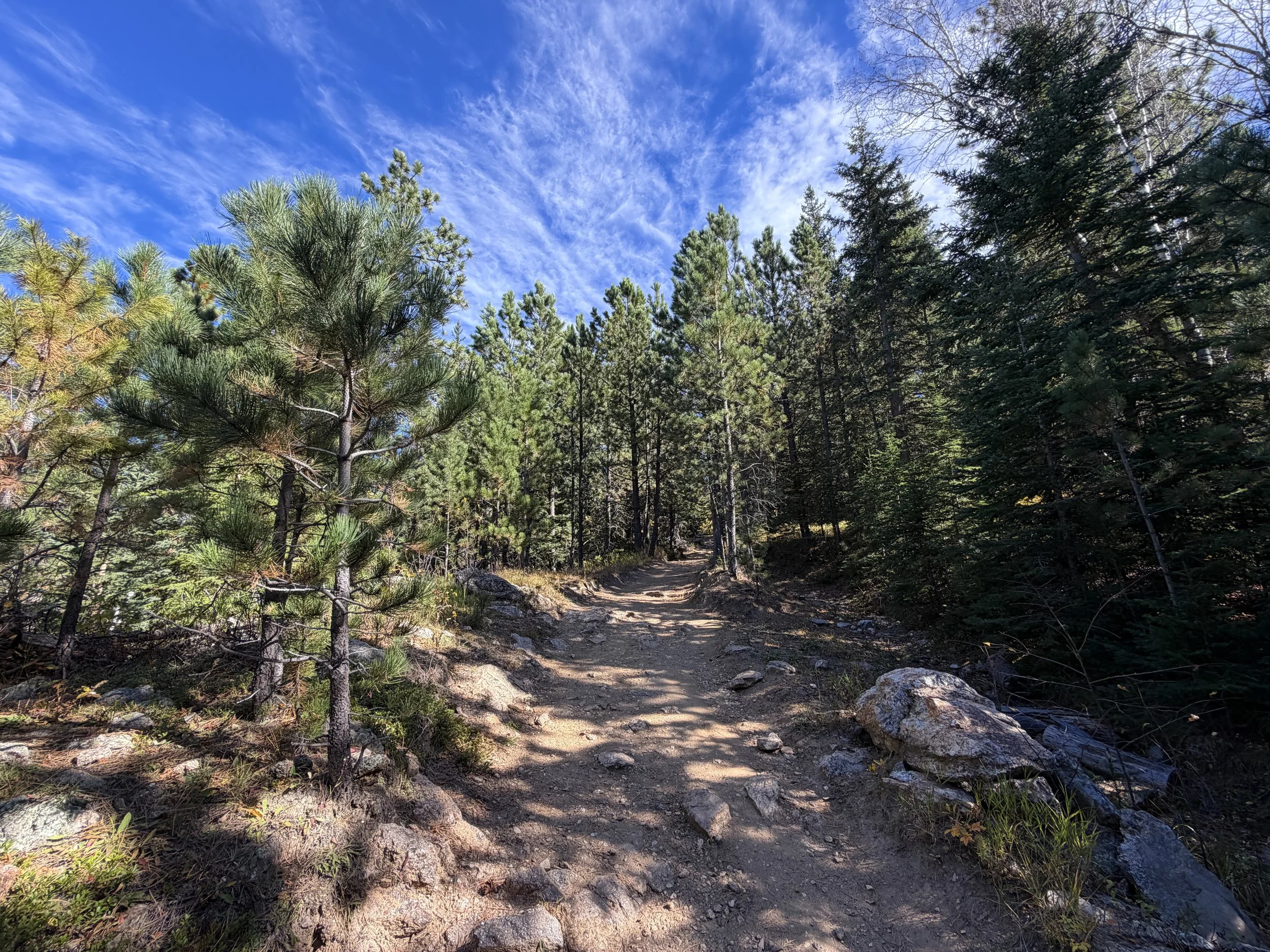 Black Elk Peak Hike Custer State Park Black Hills South Dakota