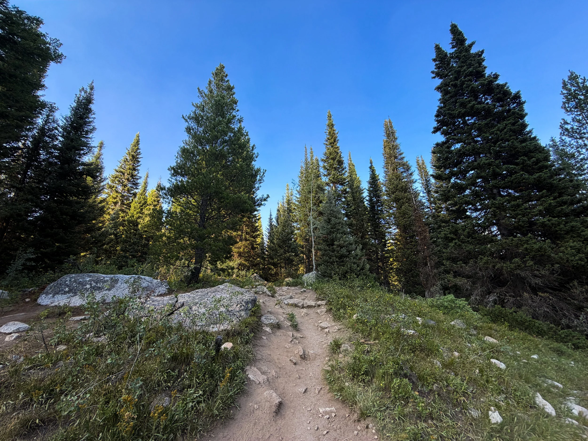 Moose Ponds Loop Trail Grand Teton National Park Wyoming