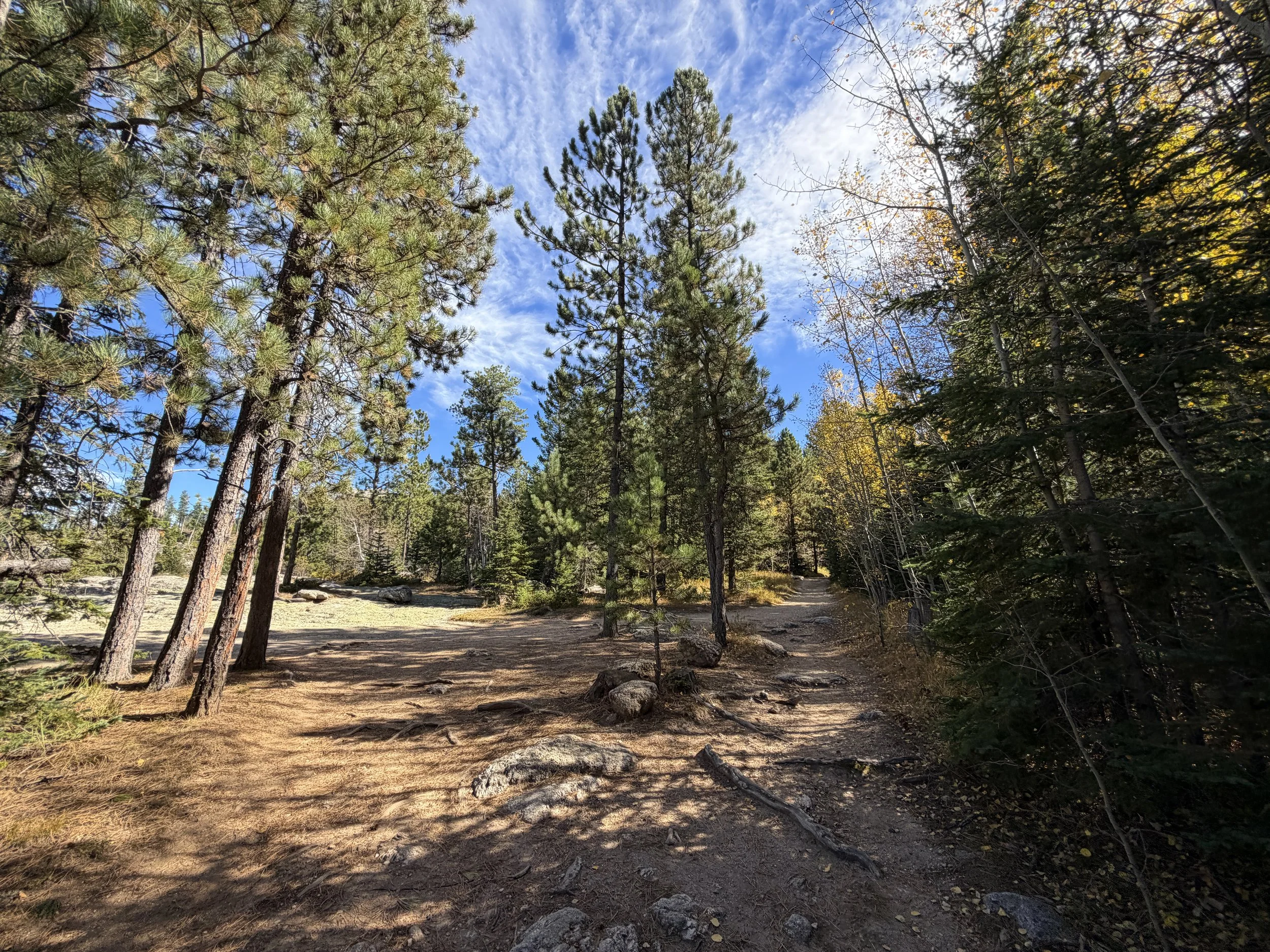 Black Elk Peak Hike Custer State Park Black Hills South Dakota