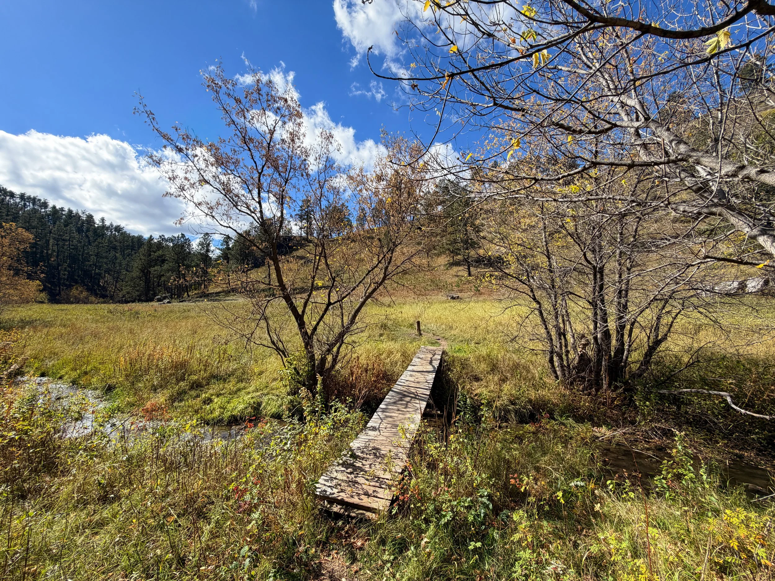 Lookout Point Loop Trail Wind Cave National Park South Dakota