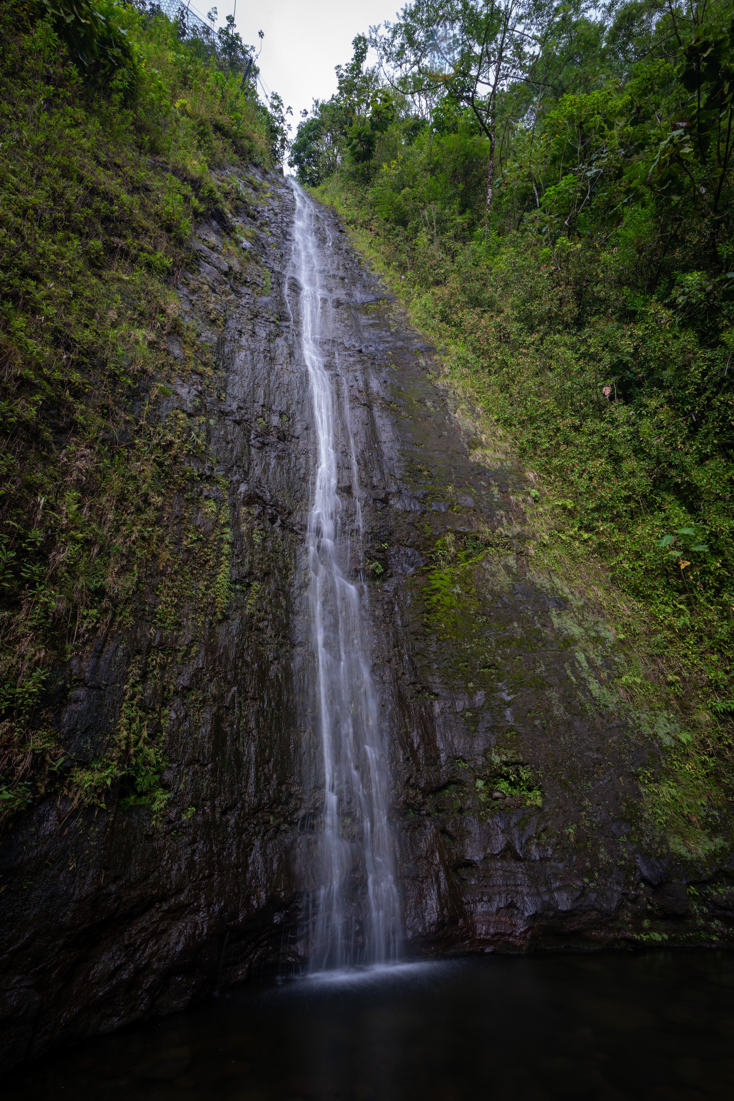 Mānoa Falls