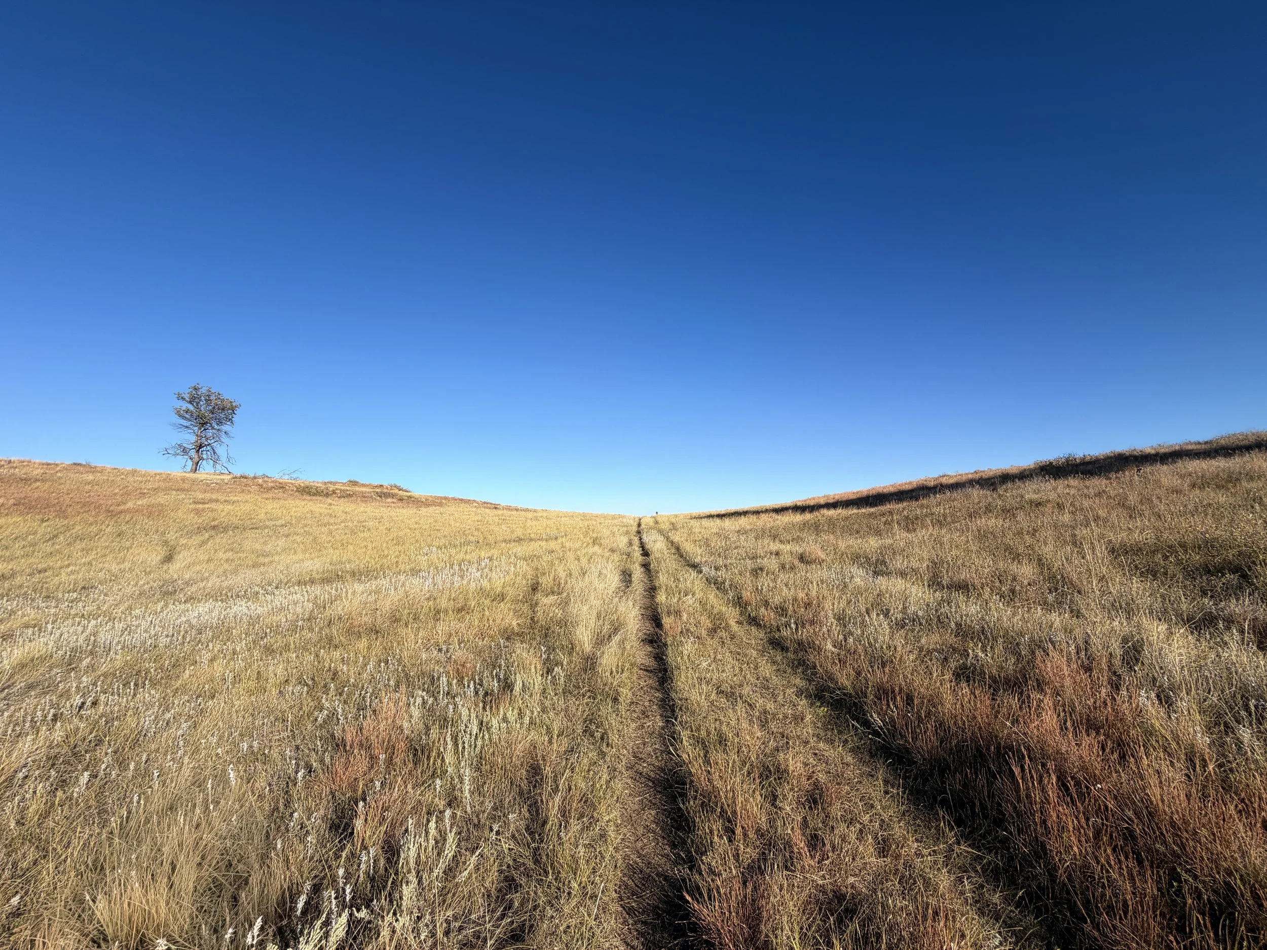 Boland Ridge Hike Wind Cave National Park South Dakota