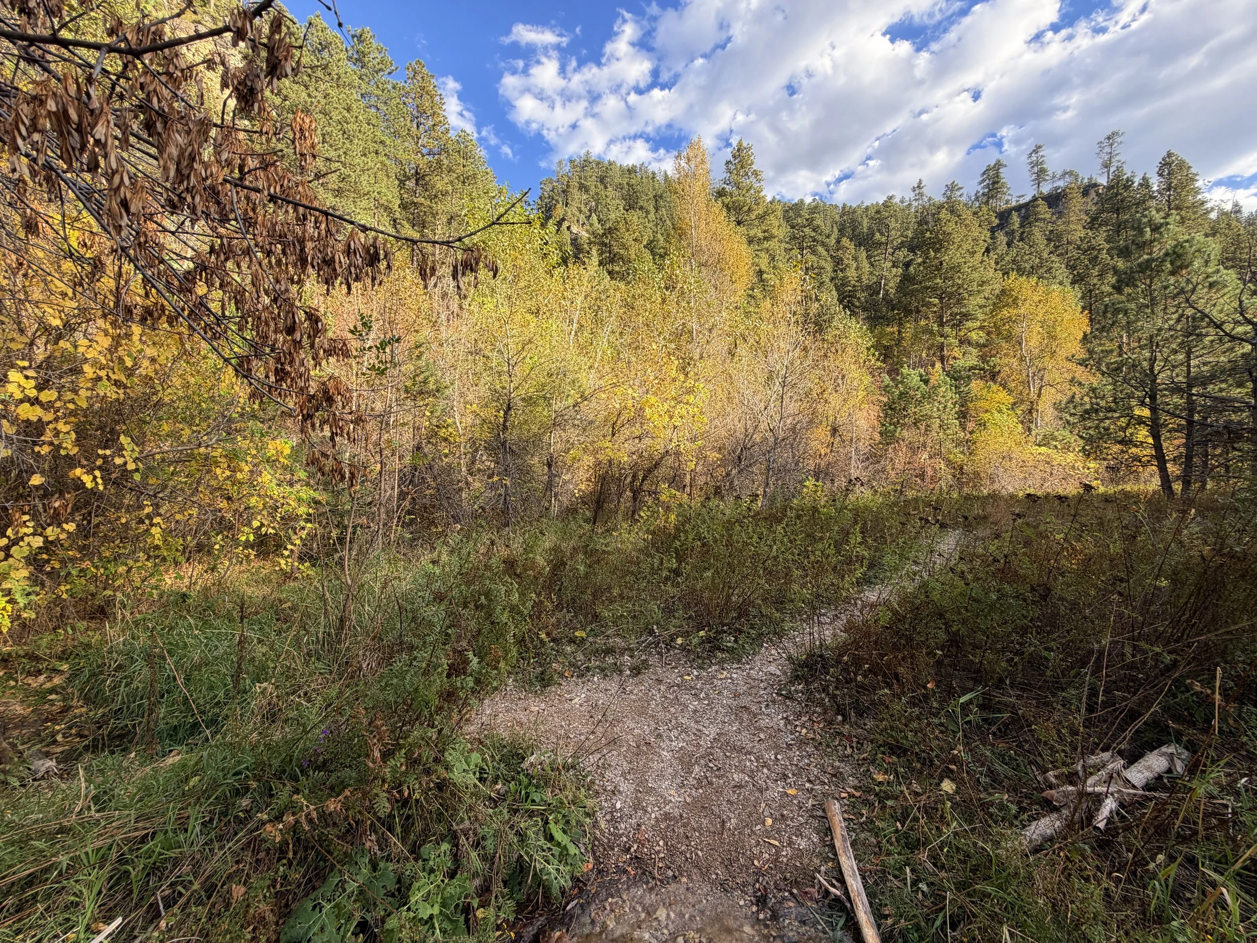 Community Caves Trail Spearfish Canyon Black Hills South Dakota
