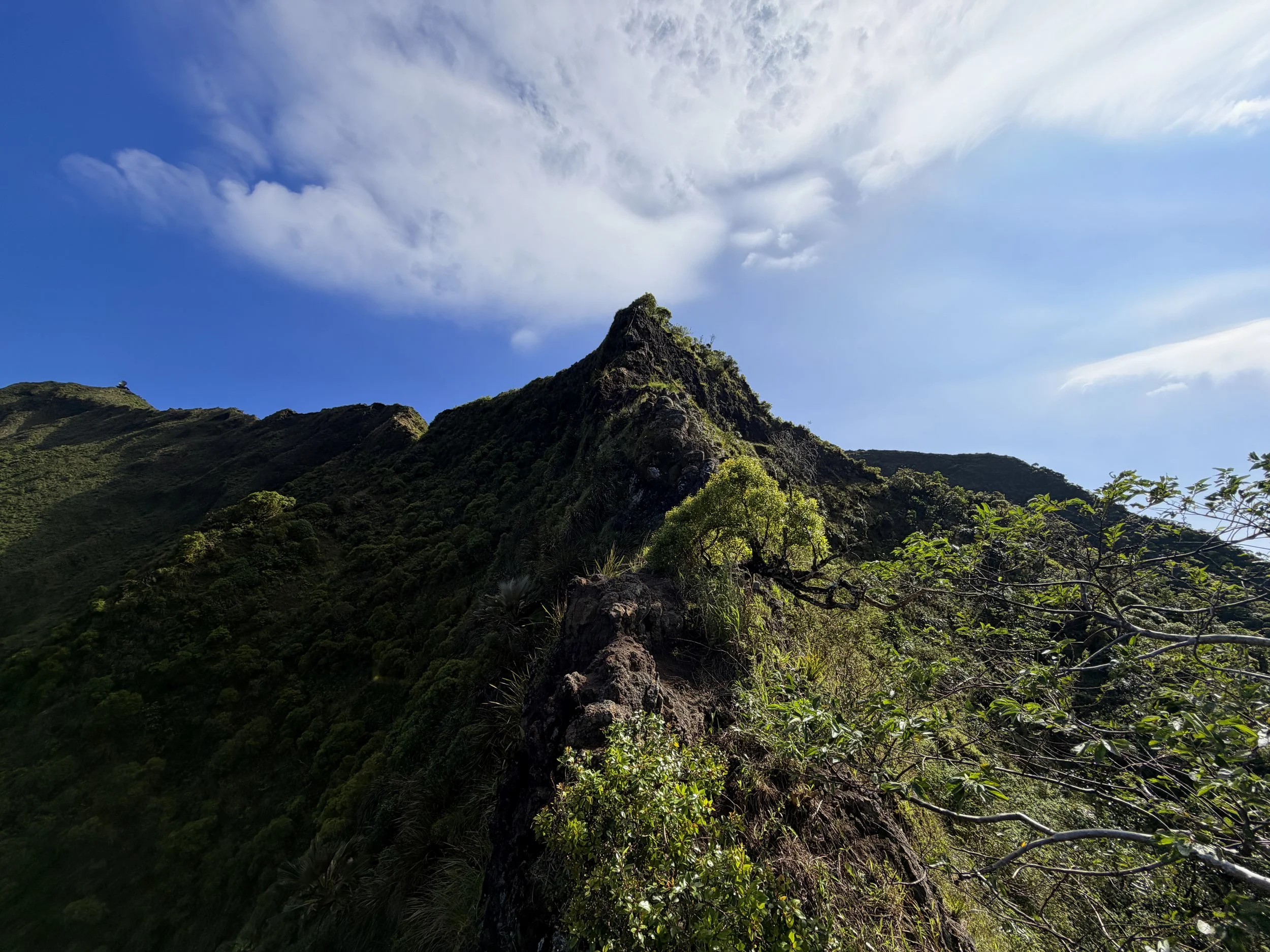 Moanalua Saddle Ropes KST Oahu Hawaii