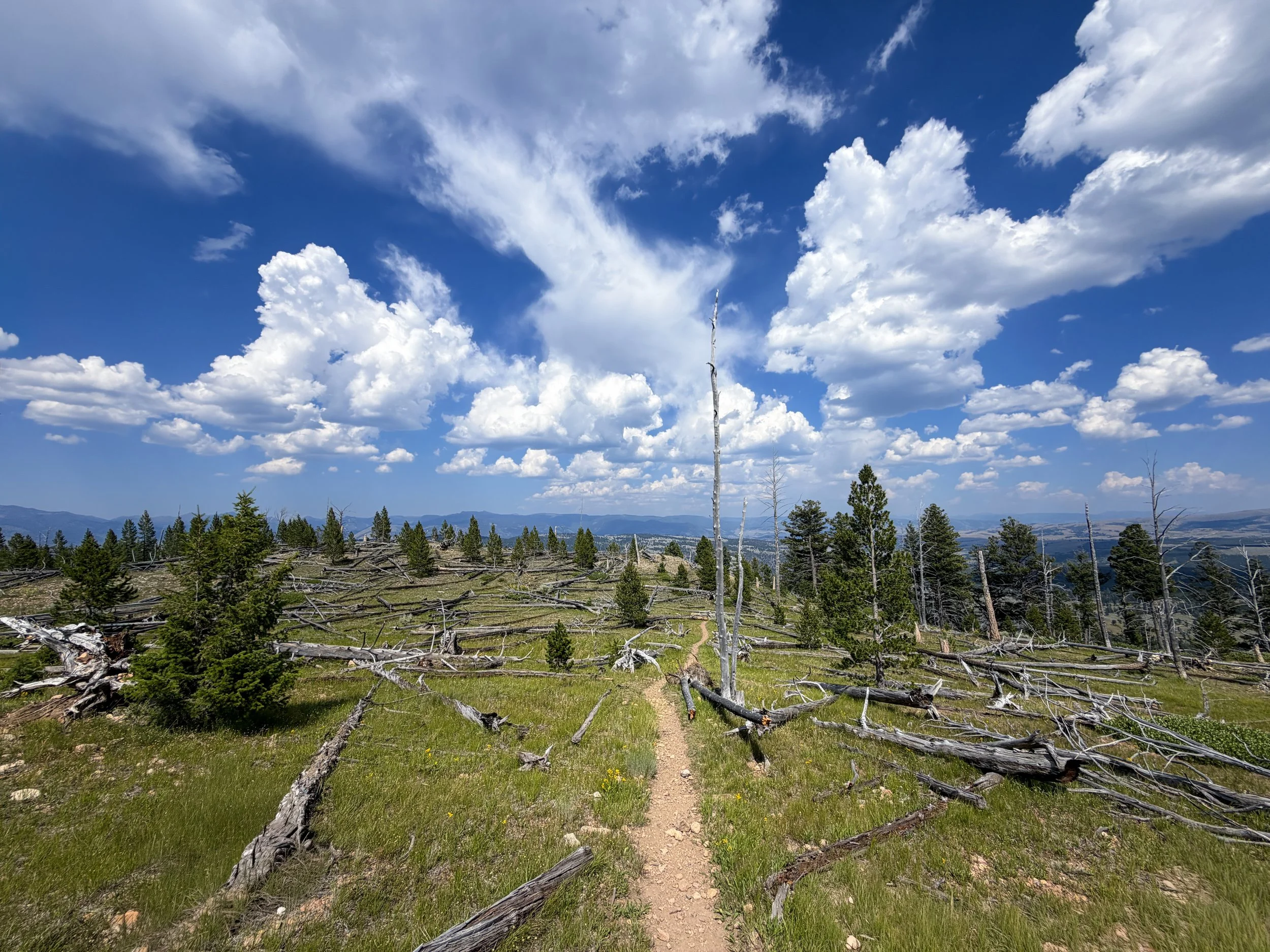 Bunsen Peak Trail Yellowstone National Park Wyoming