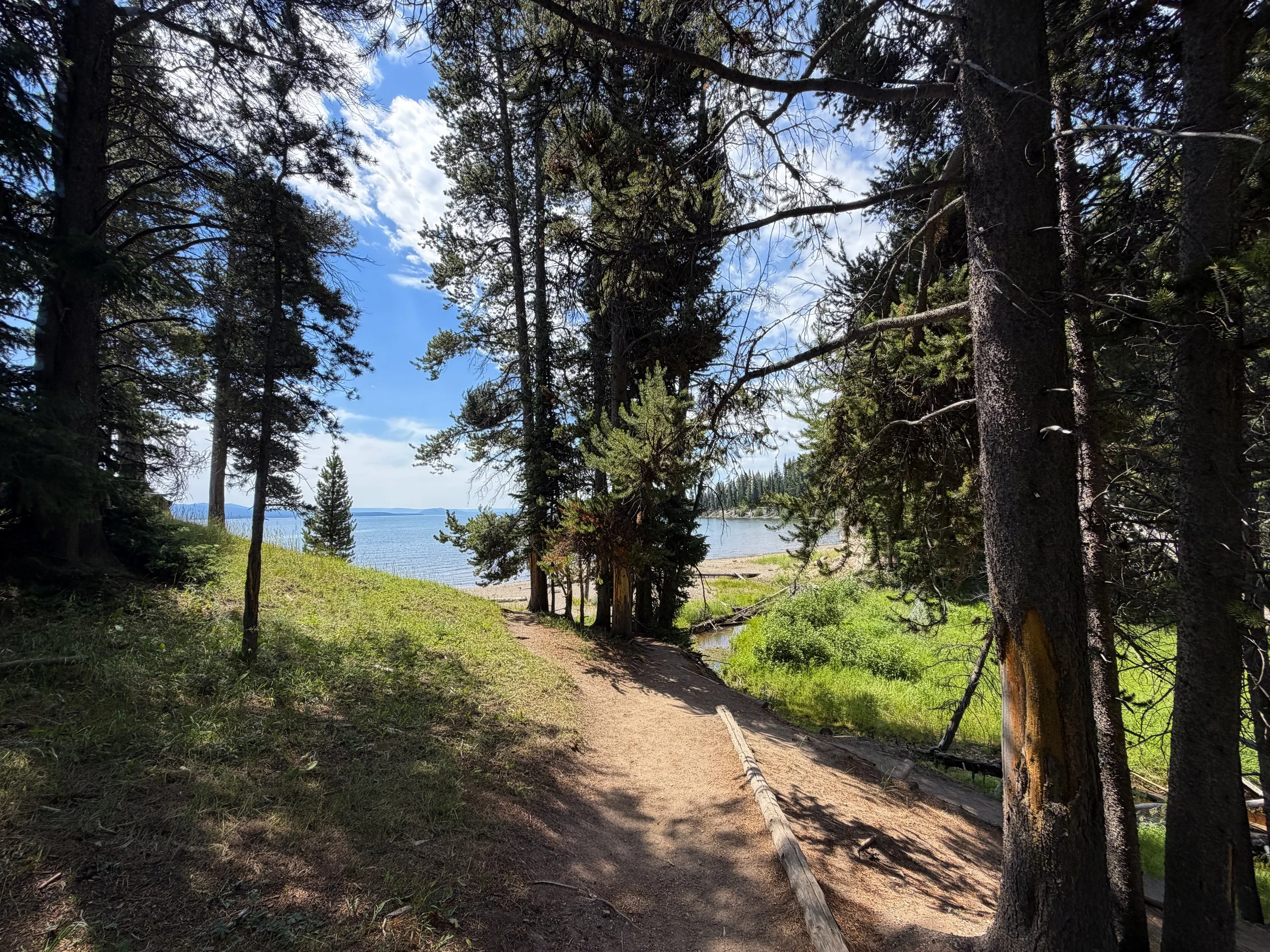 Storm Point Trail Yellowstone National Park Wyoming