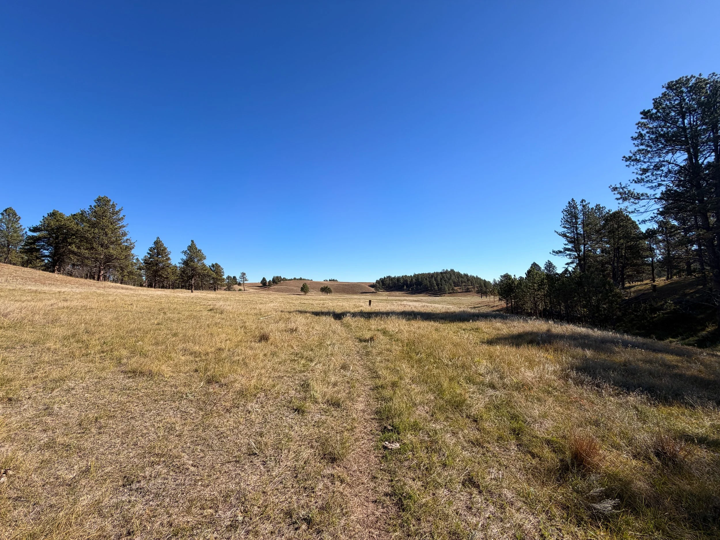 Sanctuary Trail Wind Cave National Park South Dakota